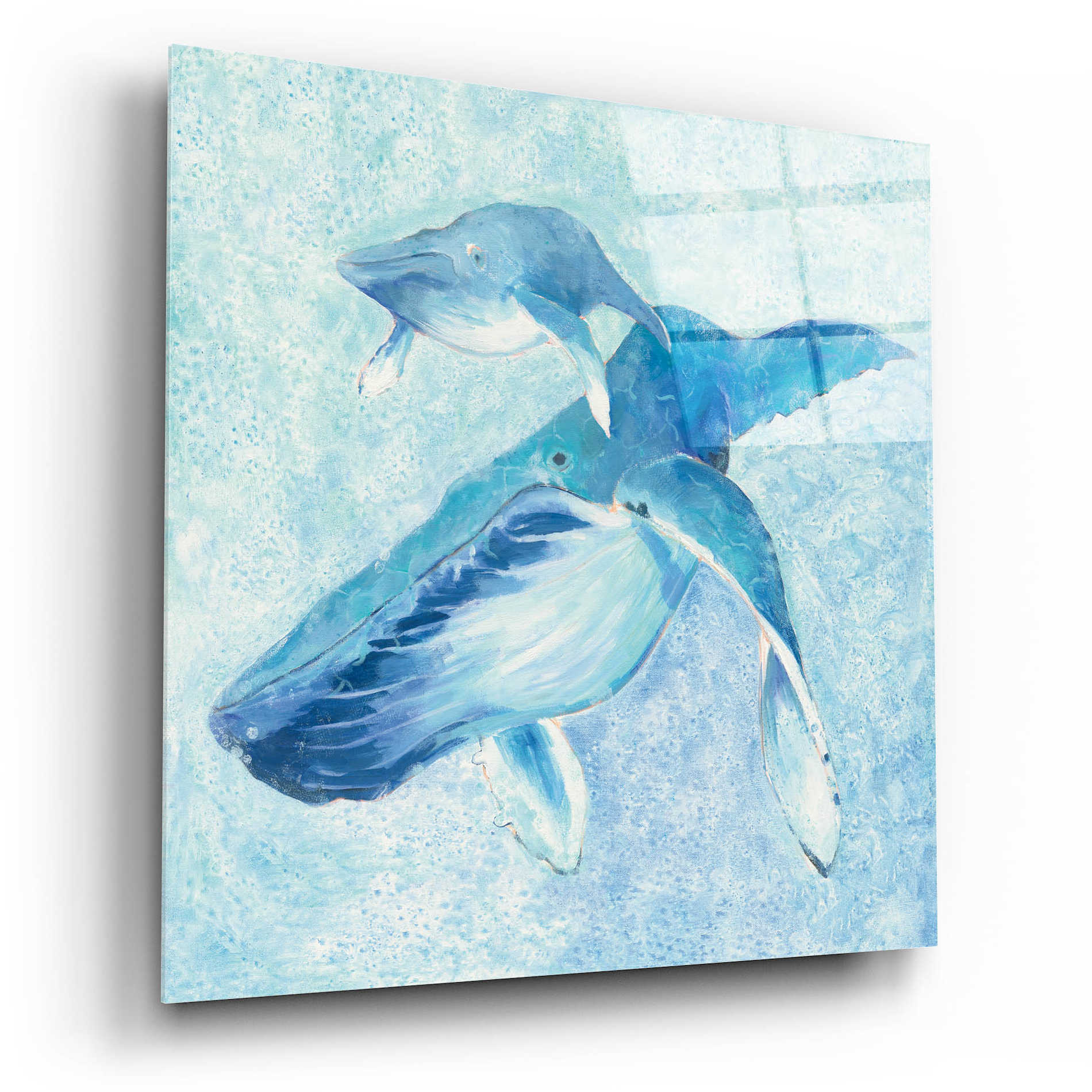 Epic Art 'Blue Mama v2' by Phyllis Adams, Acrylic Glass Wall Art,12x12