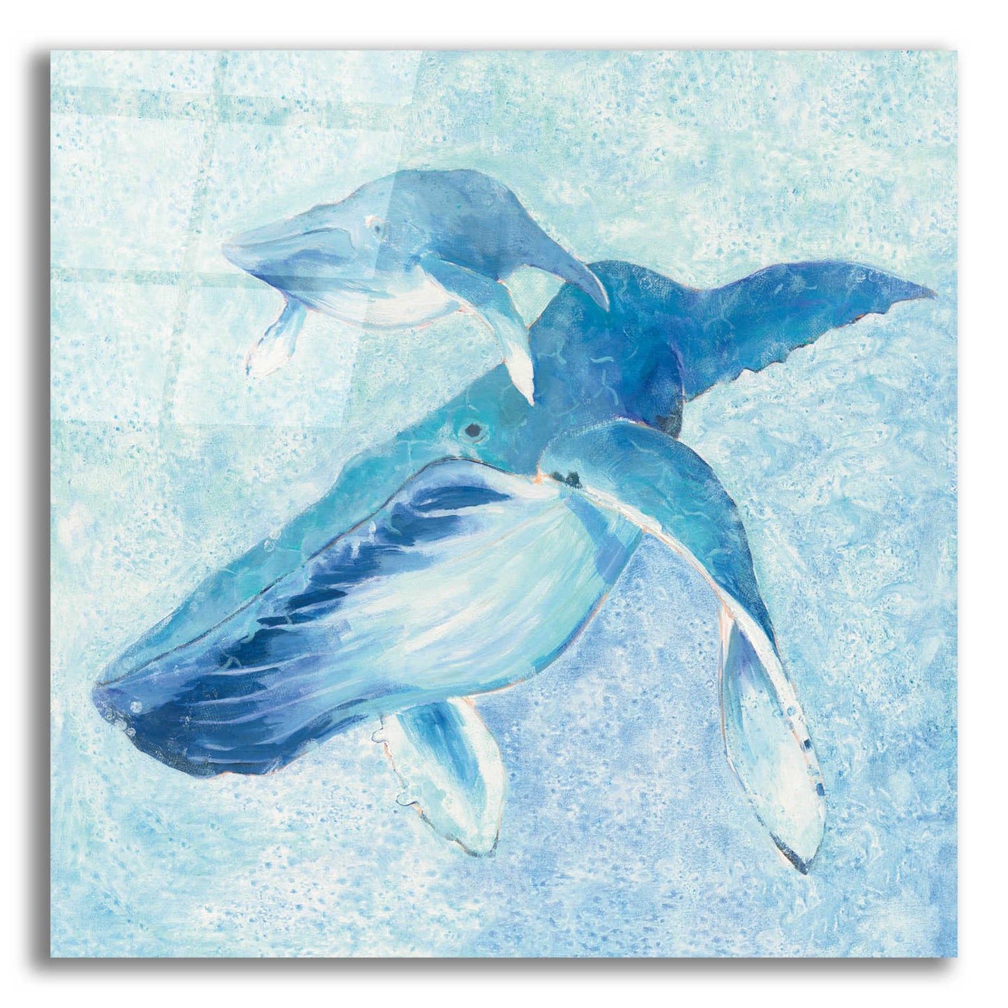 Epic Art 'Blue Mama v2' by Phyllis Adams, Acrylic Glass Wall Art,12x12