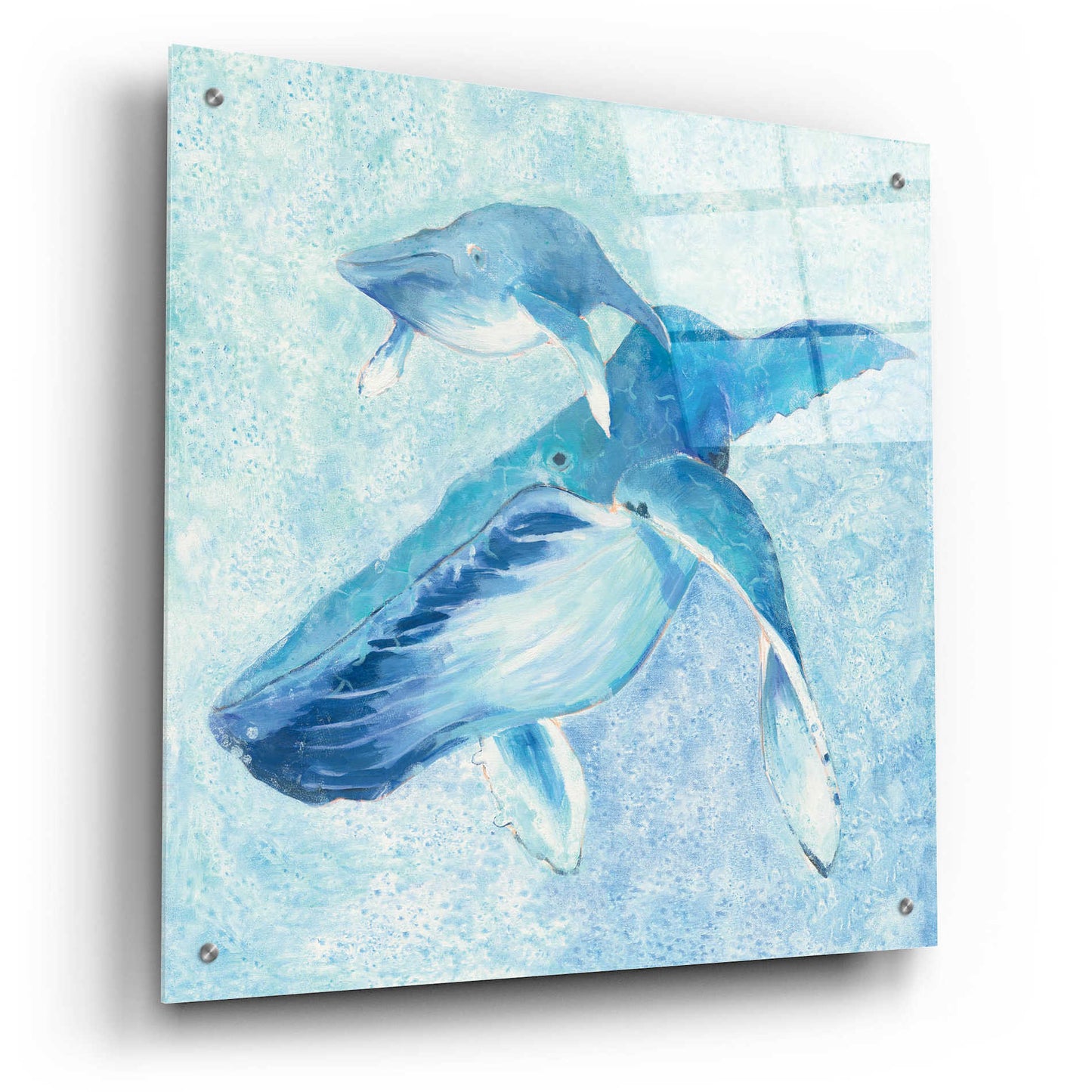 Epic Art 'Blue Mama v2' by Phyllis Adams, Acrylic Glass Wall Art,24x24