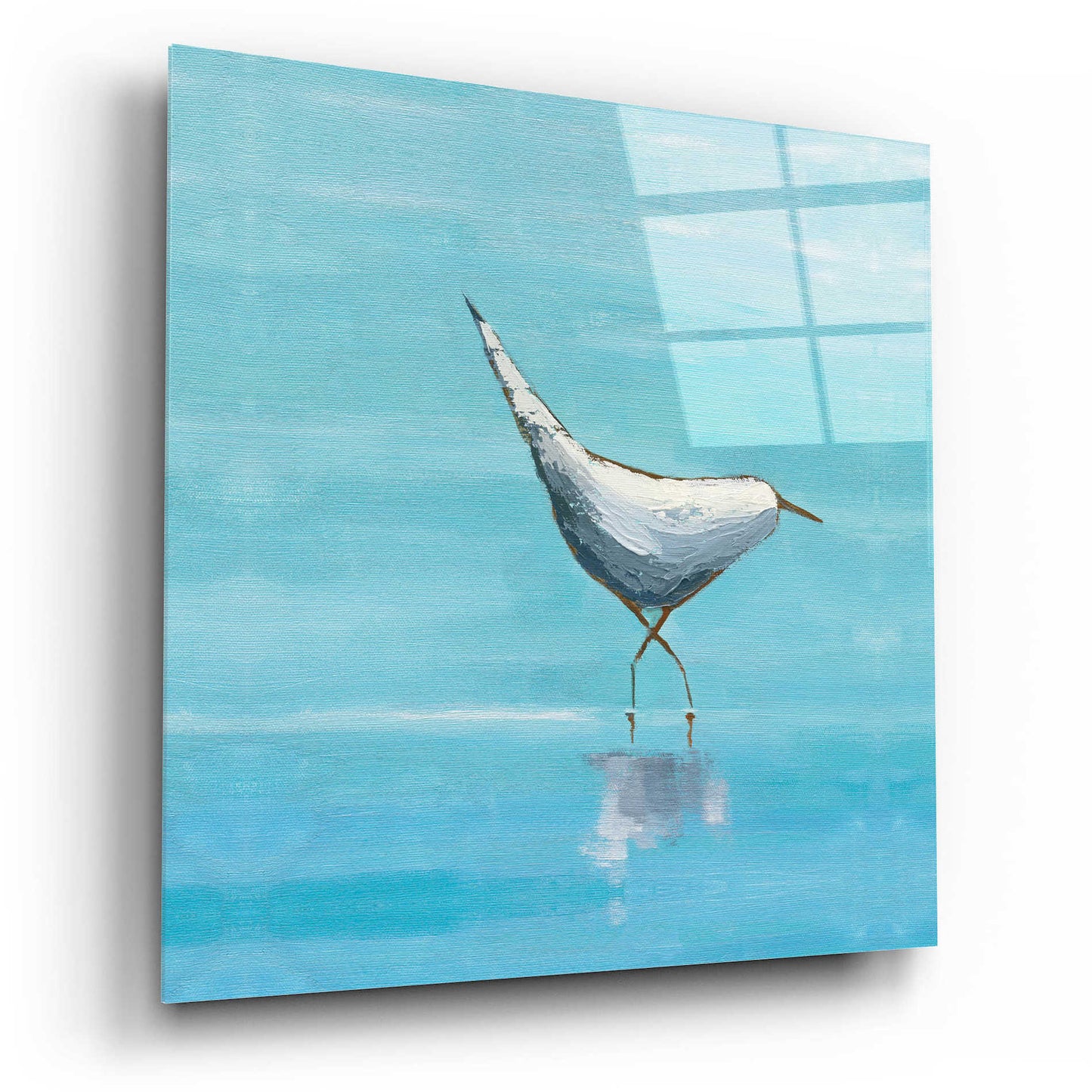 Epic Art 'Egret I Bright' by Phyllis Adams, Acrylic Glass Wall Art,12x12