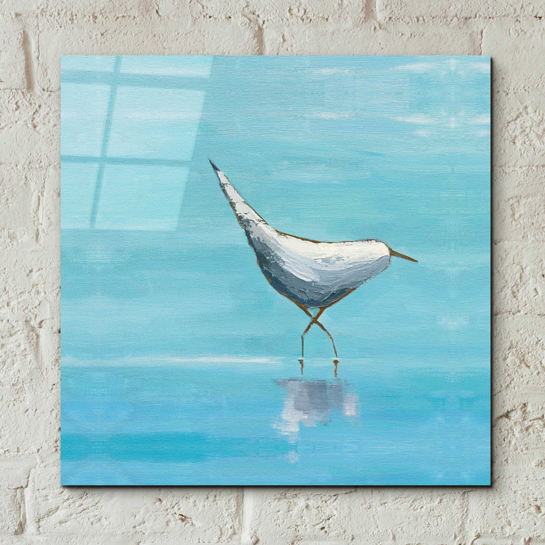 Epic Art 'Egret I Bright' by Phyllis Adams, Acrylic Glass Wall Art,12x12