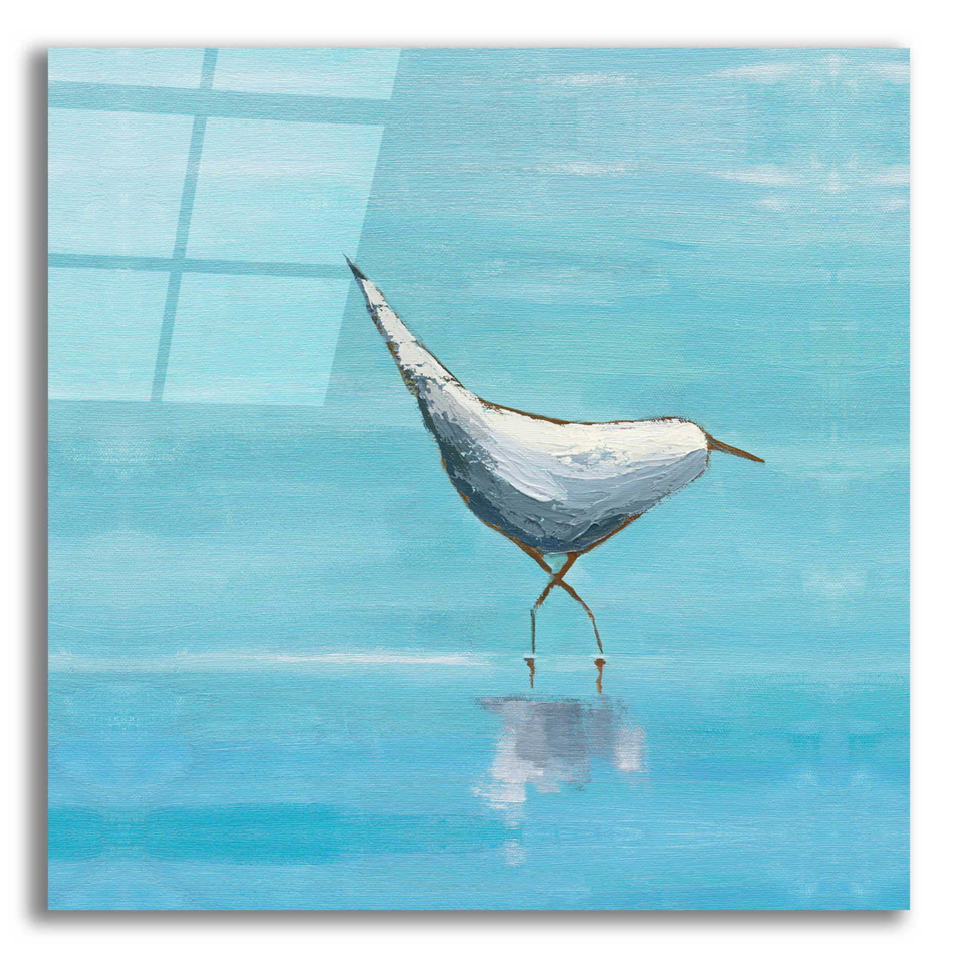 Epic Art 'Egret I Bright' by Phyllis Adams, Acrylic Glass Wall Art,12x12