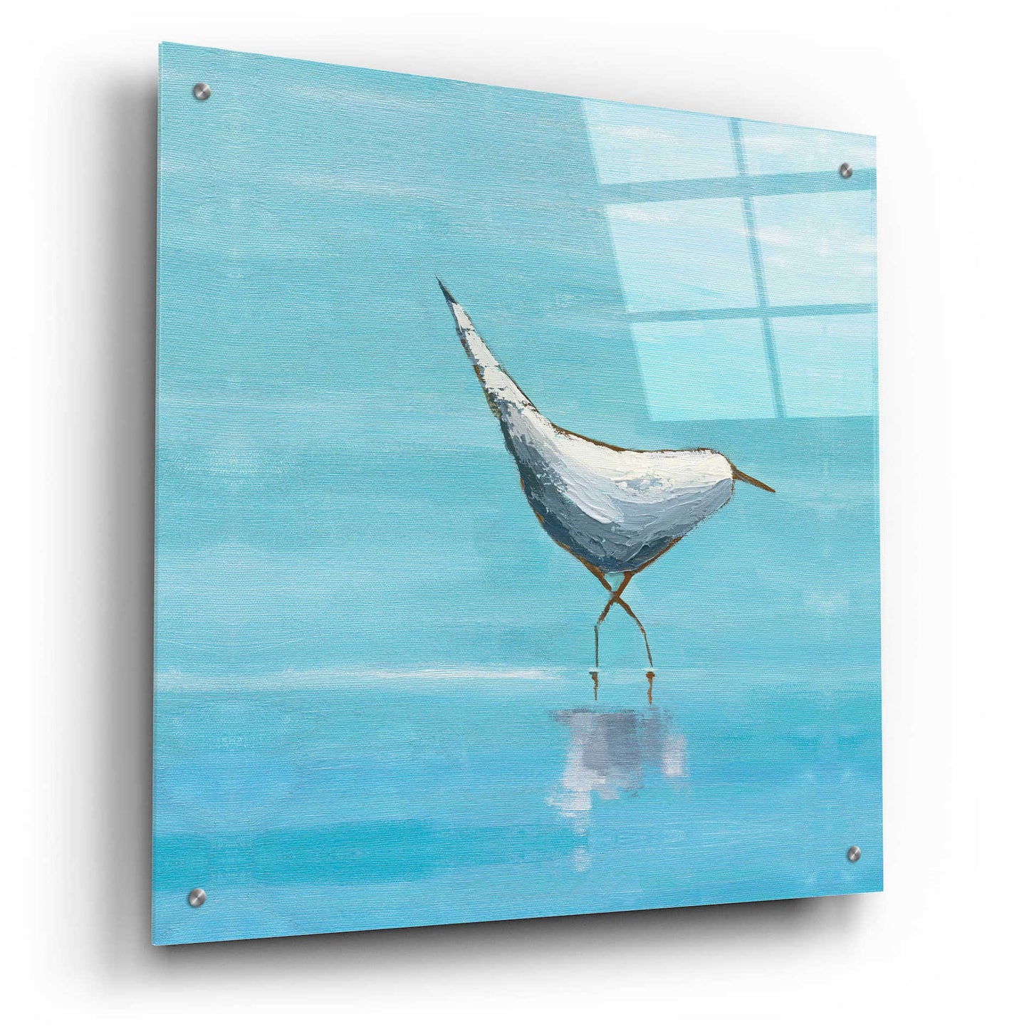 Epic Art 'Egret I Bright' by Phyllis Adams, Acrylic Glass Wall Art,24x24