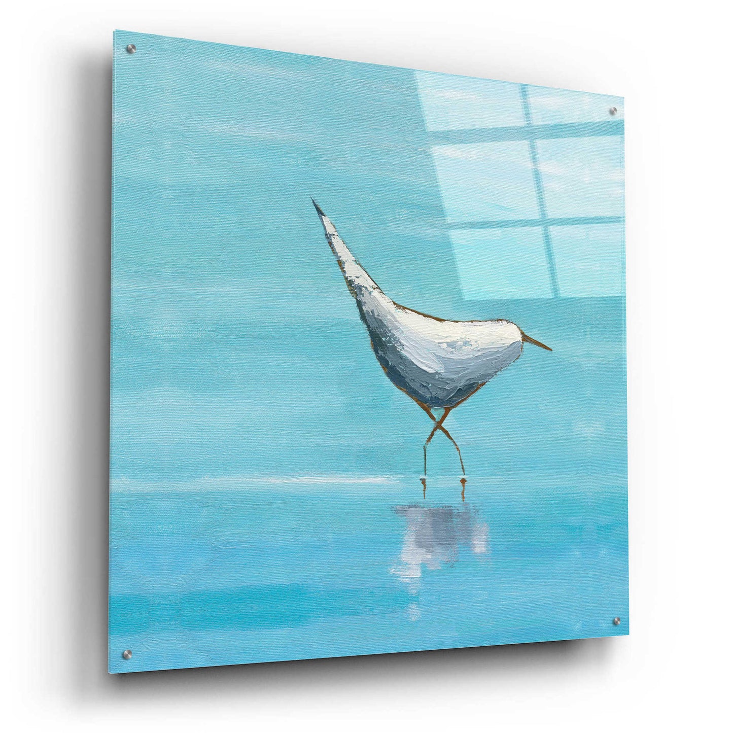 Epic Art 'Egret I Bright' by Phyllis Adams, Acrylic Glass Wall Art,36x36