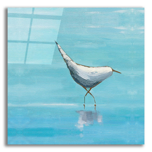 Epic Art 'Egret I Bright' by Phyllis Adams, Acrylic Glass Wall Art