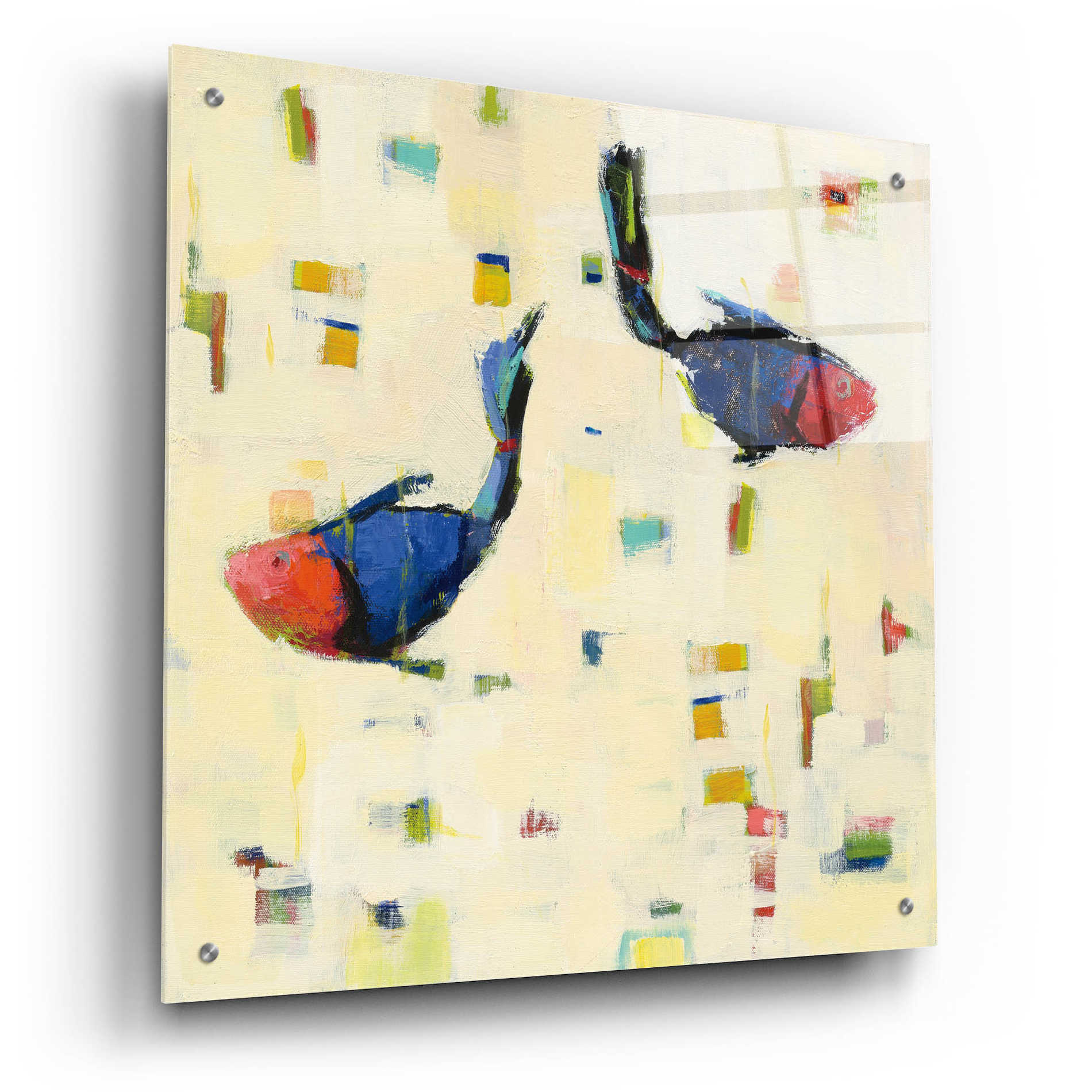 Epic Art 'One Fish Two Fish Big' by Phyllis Adams, Acrylic Glass Wall Art,24x24