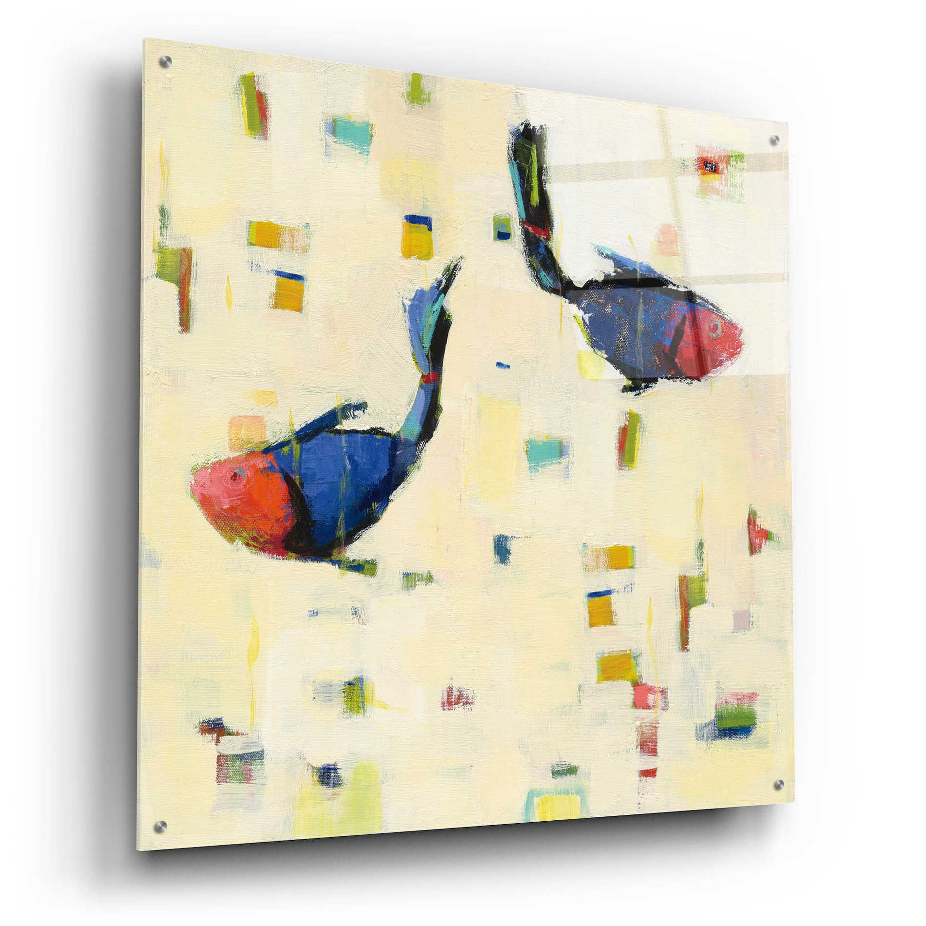 Epic Art 'One Fish Two Fish Big' by Phyllis Adams, Acrylic Glass Wall Art,36x36