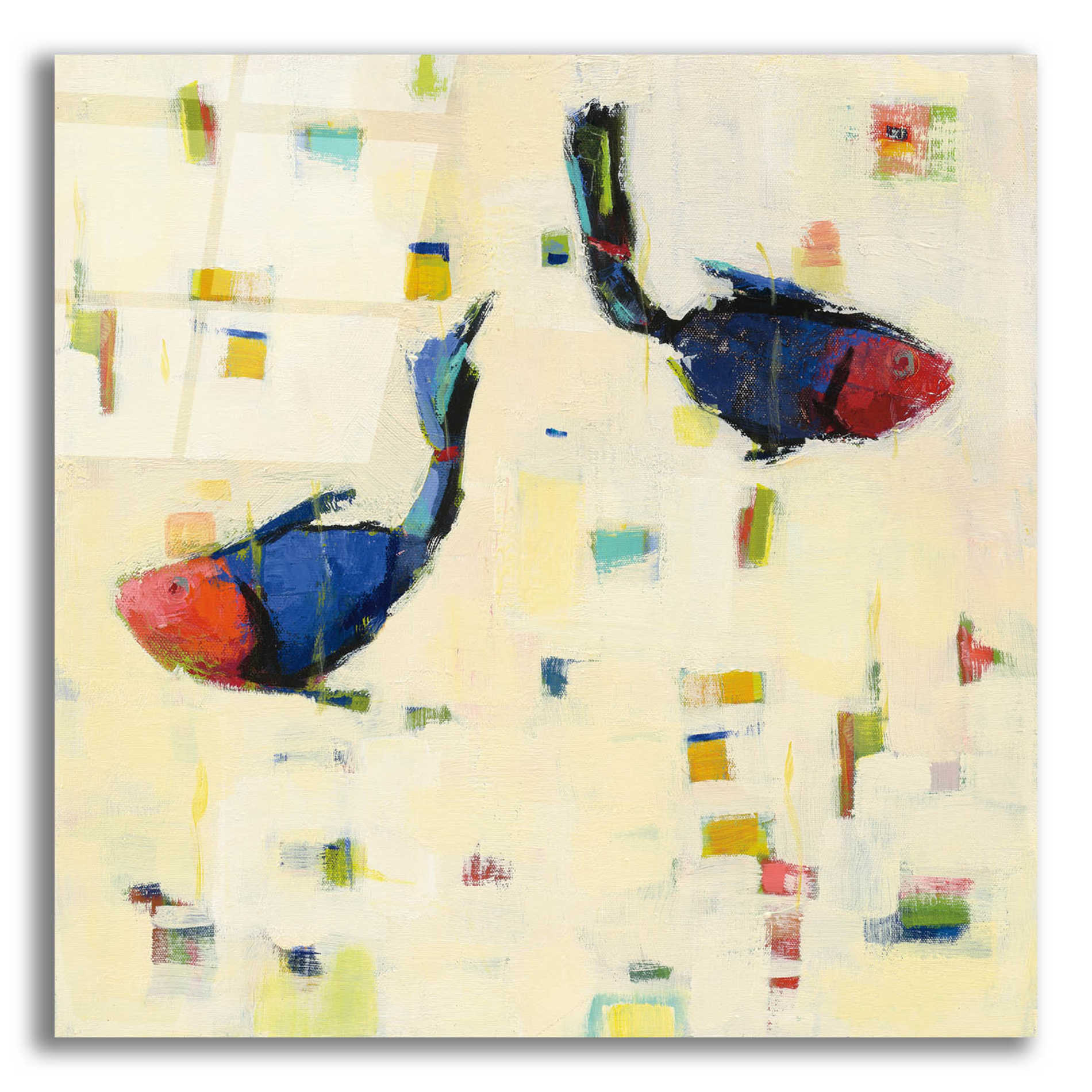 Epic Art 'One Fish Two Fish Big' by Phyllis Adams, Acrylic Glass Wall Art