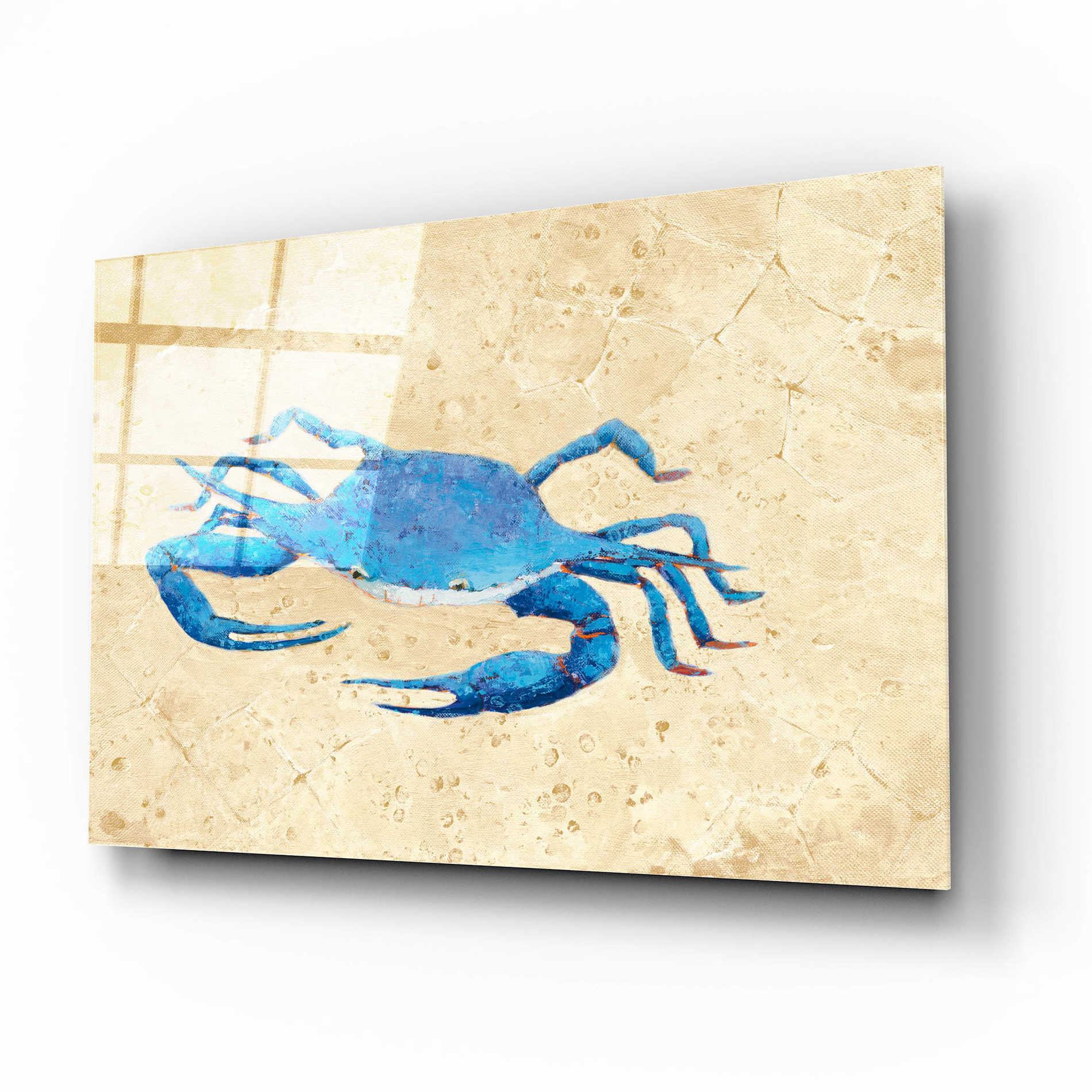 Epic Art 'Blue Crab V Neutral Crop' by Phyllis Adams, Acrylic Glass Wall Art,16x12