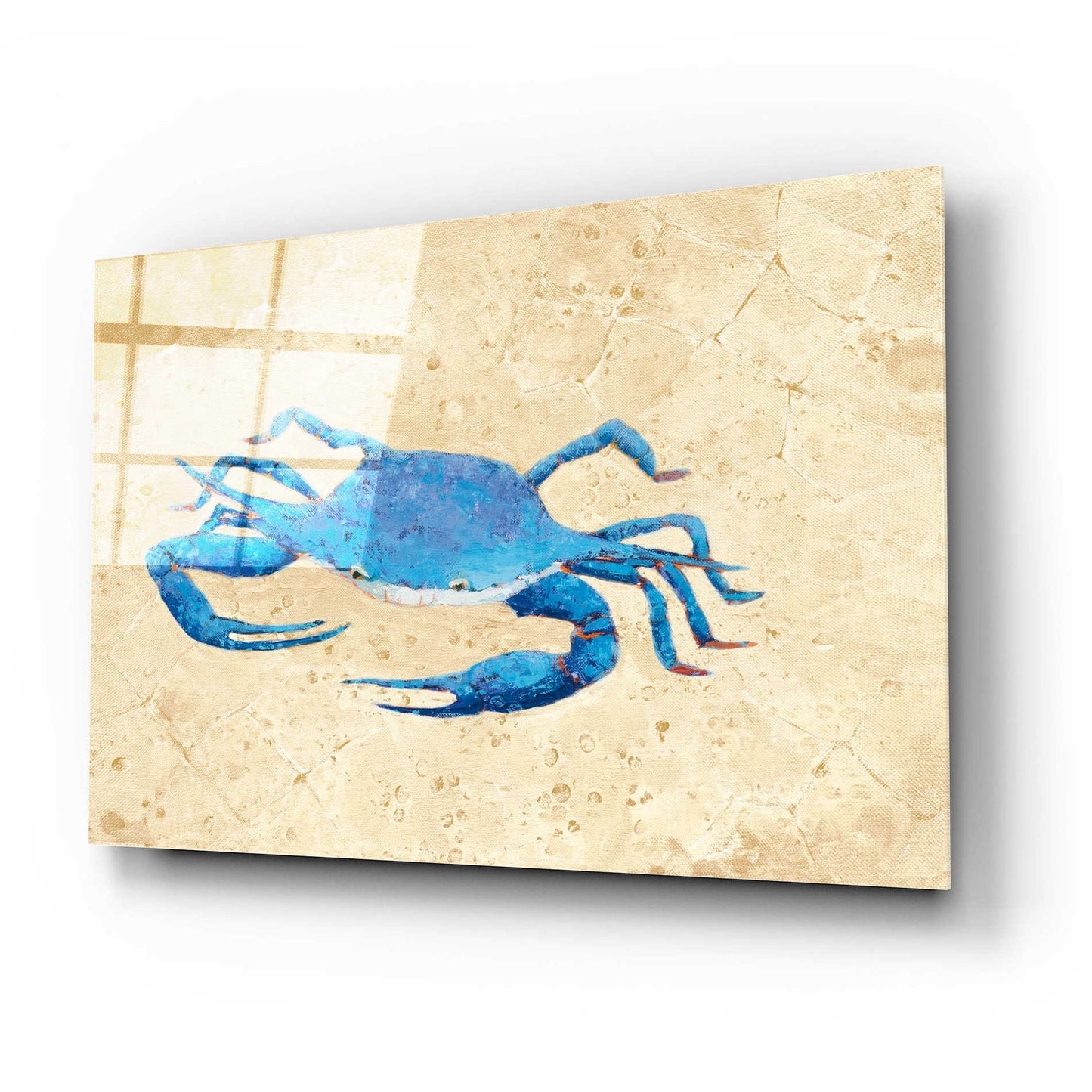 Epic Art 'Blue Crab V Neutral Crop' by Phyllis Adams, Acrylic Glass Wall Art,24x16