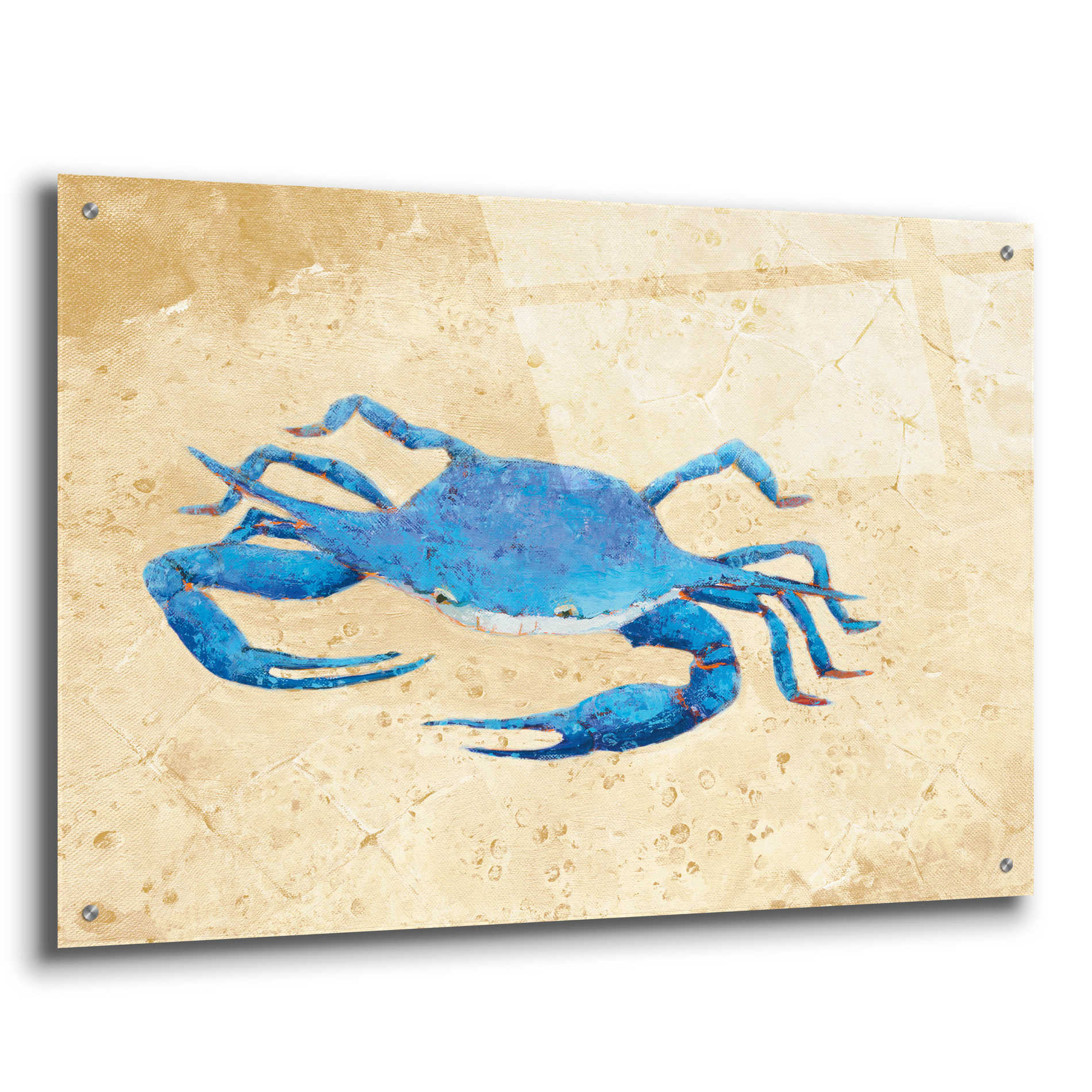 Epic Art 'Blue Crab V Neutral Crop' by Phyllis Adams, Acrylic Glass Wall Art,36x24