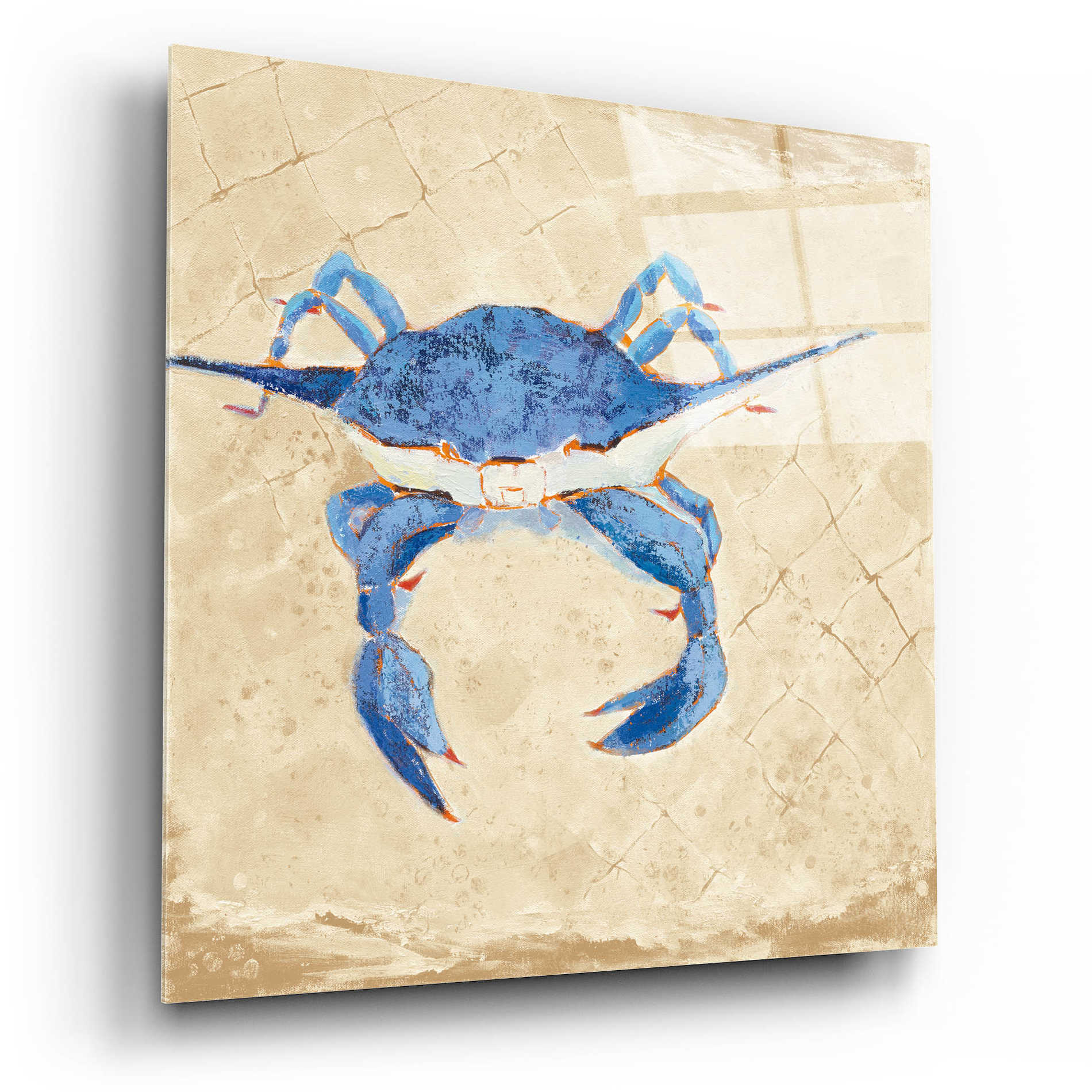 Epic Art 'Blue Crab VI Neutral' by Phyllis Adams, Acrylic Glass Wall Art,12x12