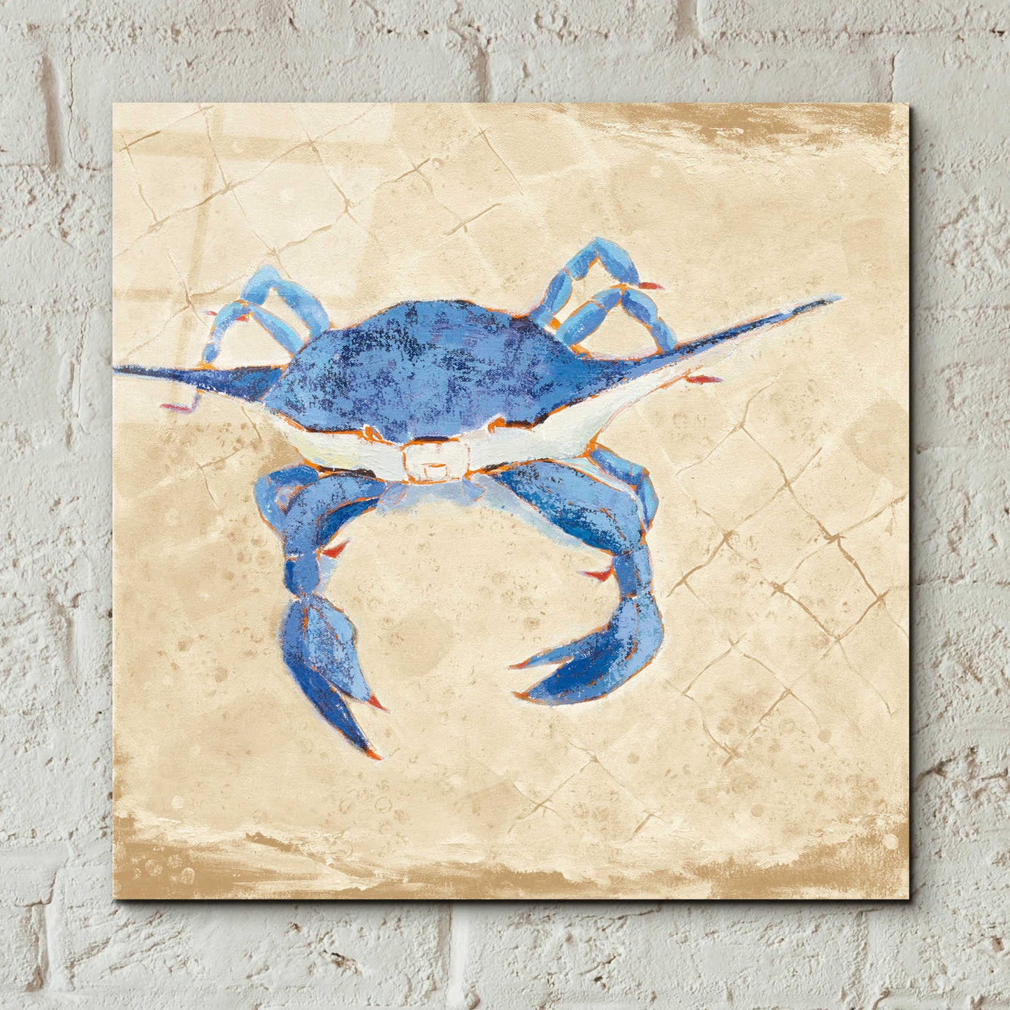 Epic Art 'Blue Crab VI Neutral' by Phyllis Adams, Acrylic Glass Wall Art,12x12