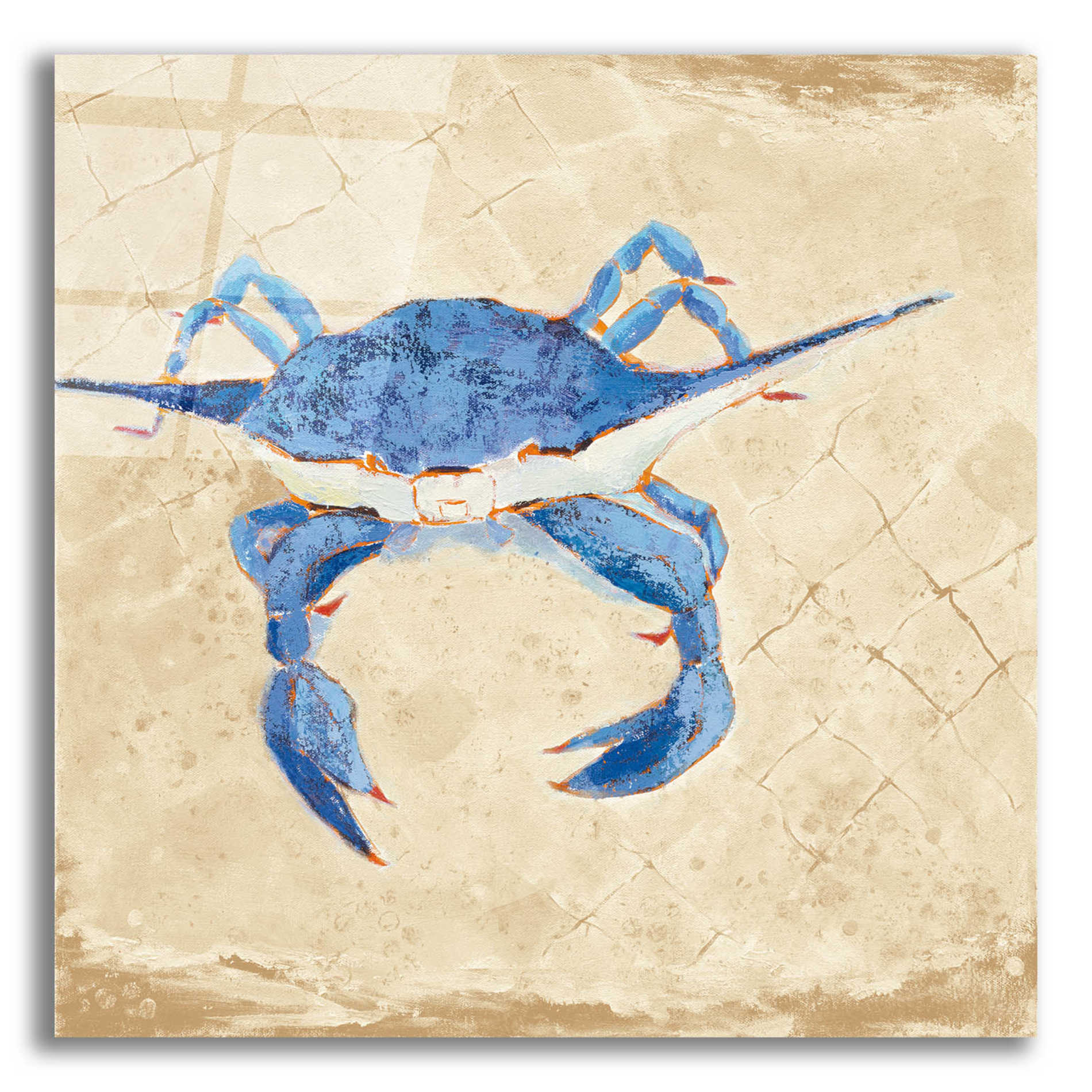 Epic Art 'Blue Crab VI Neutral' by Phyllis Adams, Acrylic Glass Wall Art,12x12