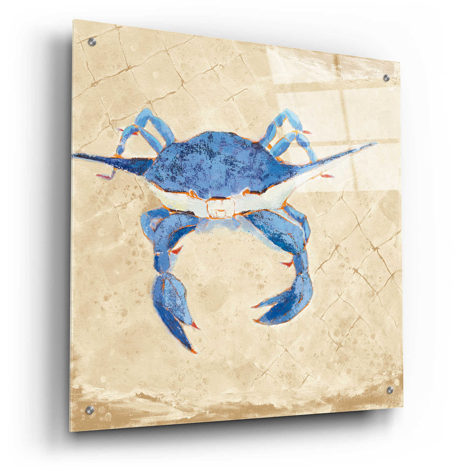 Epic Art 'Blue Crab VI Neutral' by Phyllis Adams, Acrylic Glass Wall Art,24x24