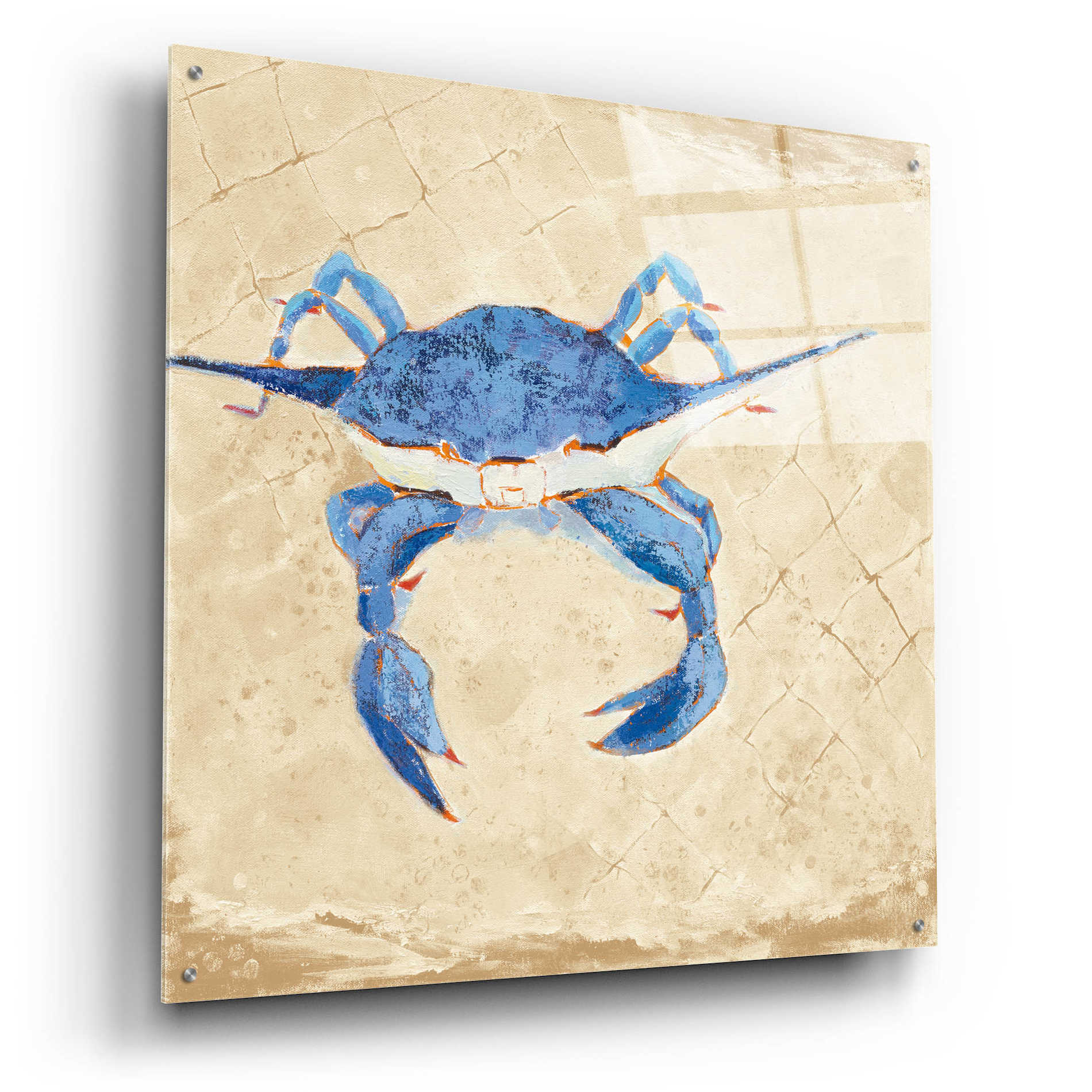 Epic Art 'Blue Crab VI Neutral' by Phyllis Adams, Acrylic Glass Wall Art,36x36