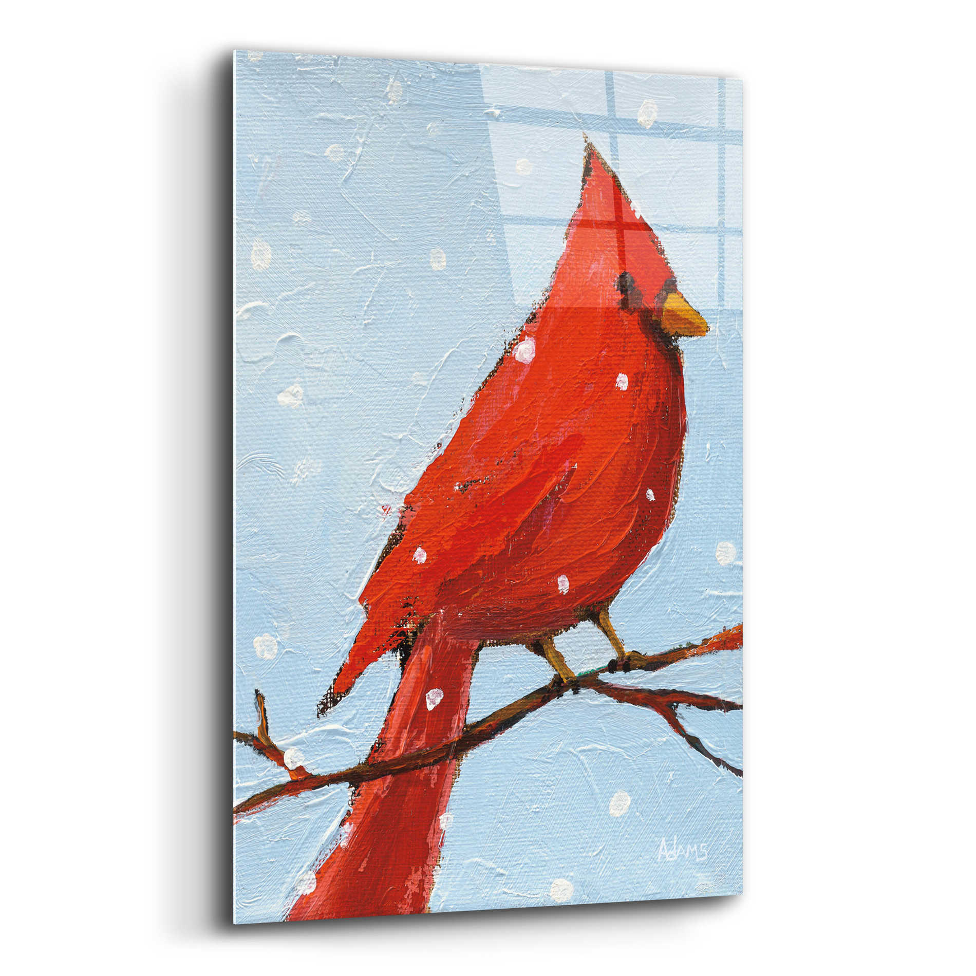 Epic Art 'Cardinal I' by Phyllis Adams, Acrylic Glass Wall Art,12x16