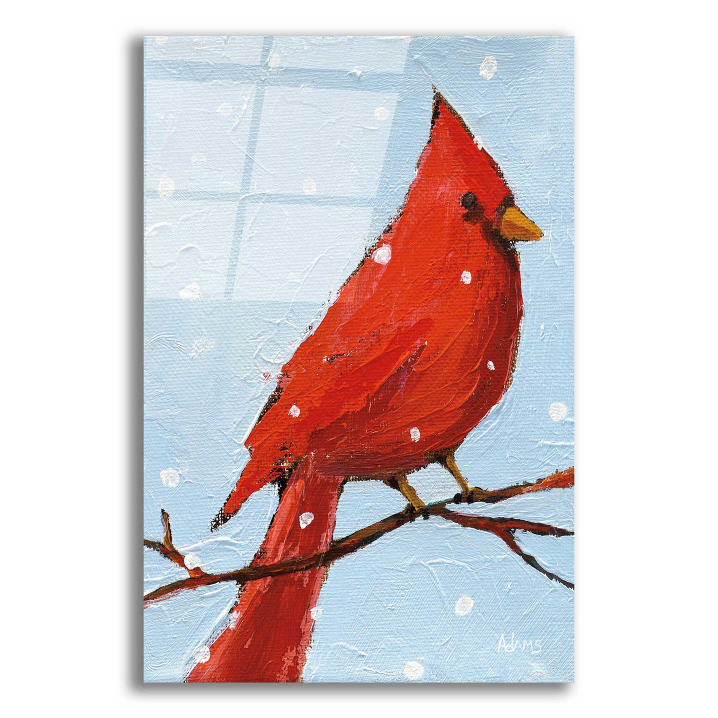 Epic Art 'Cardinal I' by Phyllis Adams, Acrylic Glass Wall Art,12x16