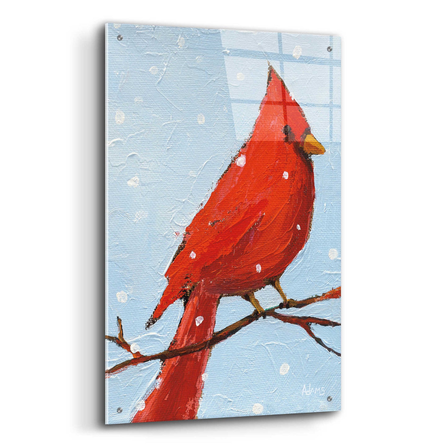 Epic Art 'Cardinal I' by Phyllis Adams, Acrylic Glass Wall Art,24x36