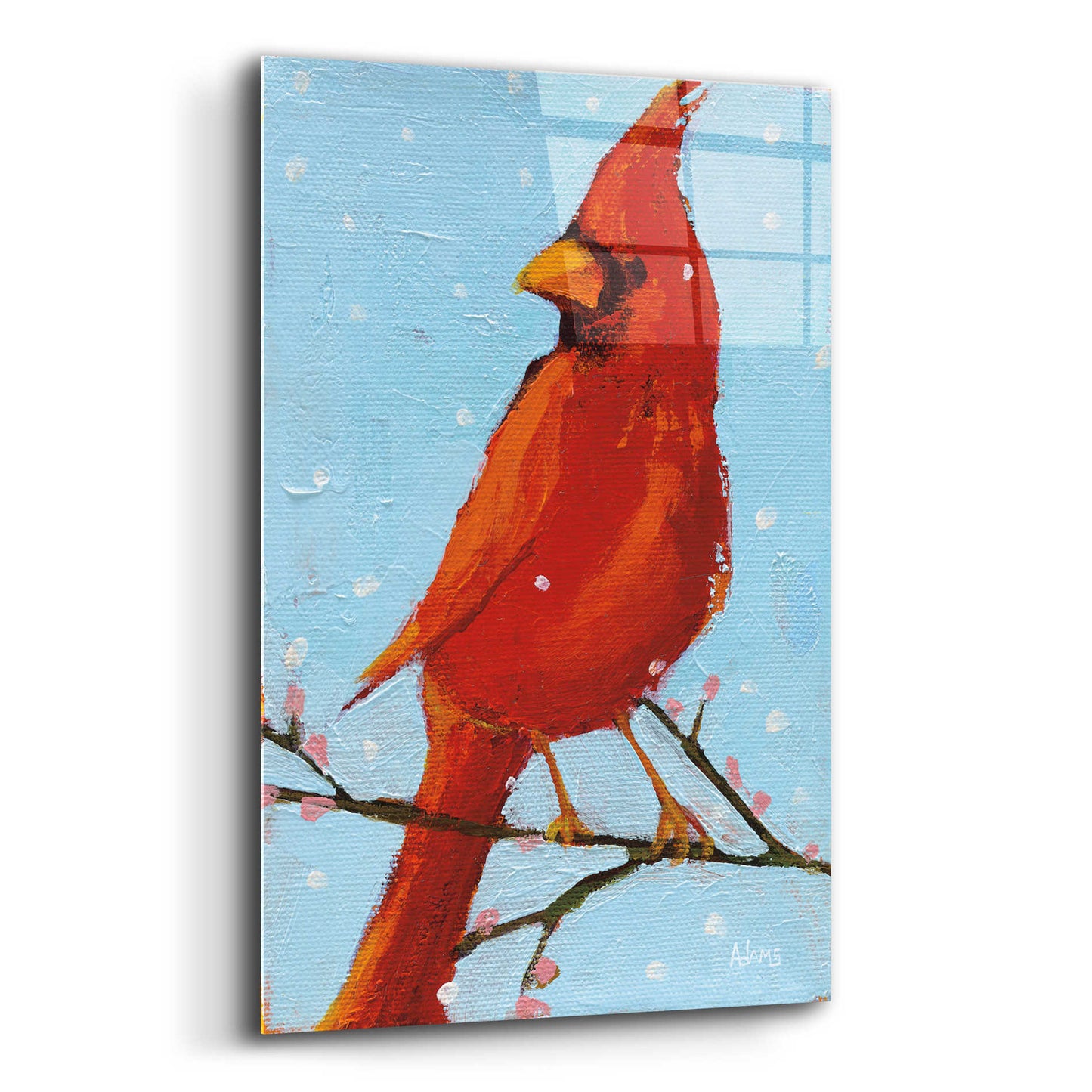 Epic Art 'Cardinal II' by Phyllis Adams, Acrylic Glass Wall Art,12x16