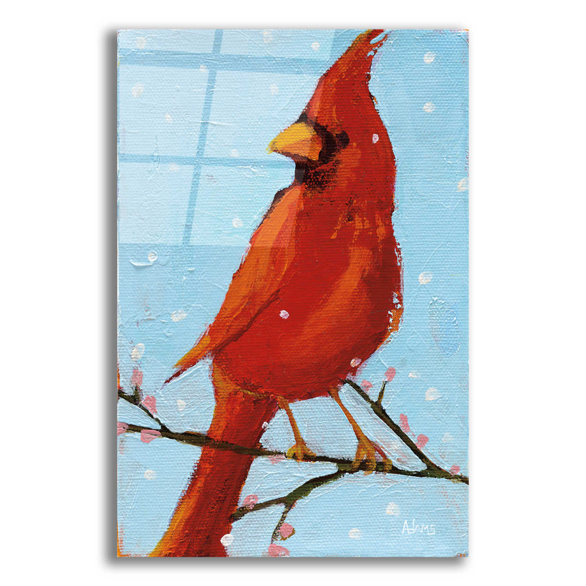 Epic Art 'Cardinal II' by Phyllis Adams, Acrylic Glass Wall Art,12x16