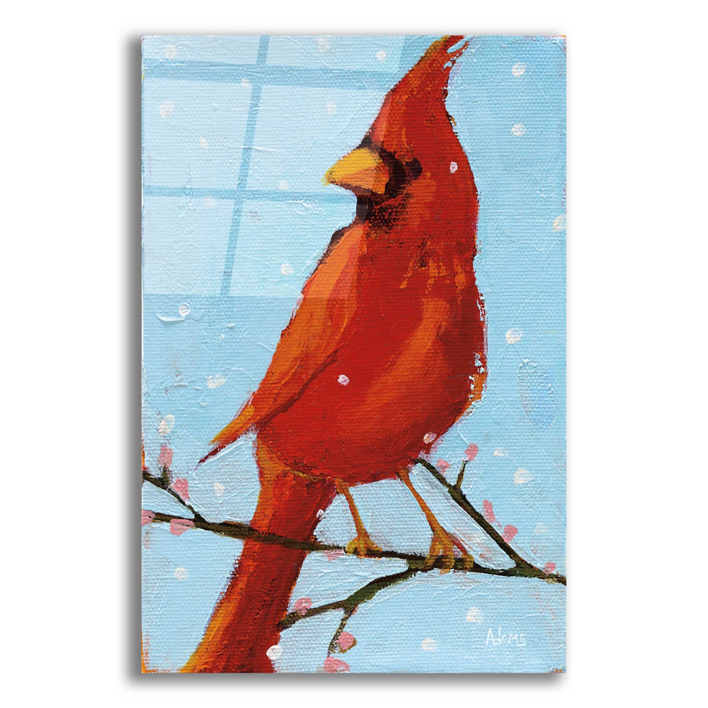 Epic Art 'Cardinal II' by Phyllis Adams, Acrylic Glass Wall Art,16x24