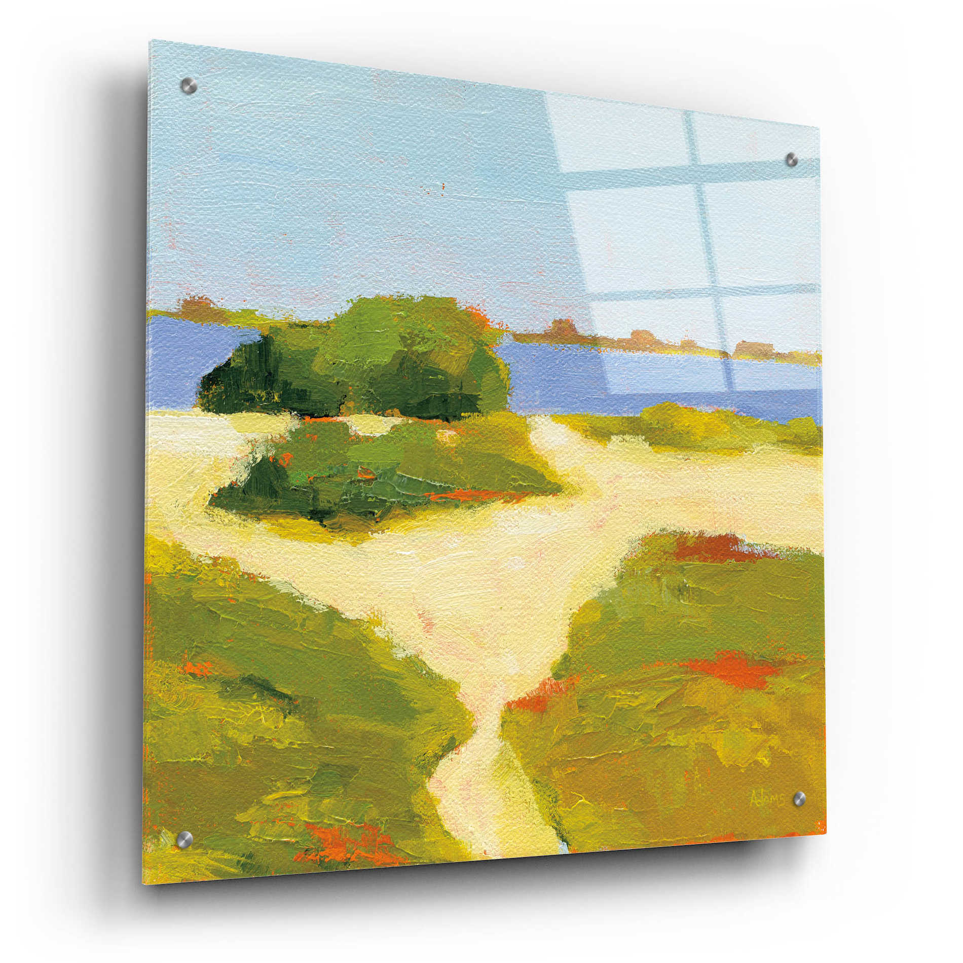 Epic Art 'Path to the Beach' by Phyllis Adams, Acrylic Glass Wall Art,24x24