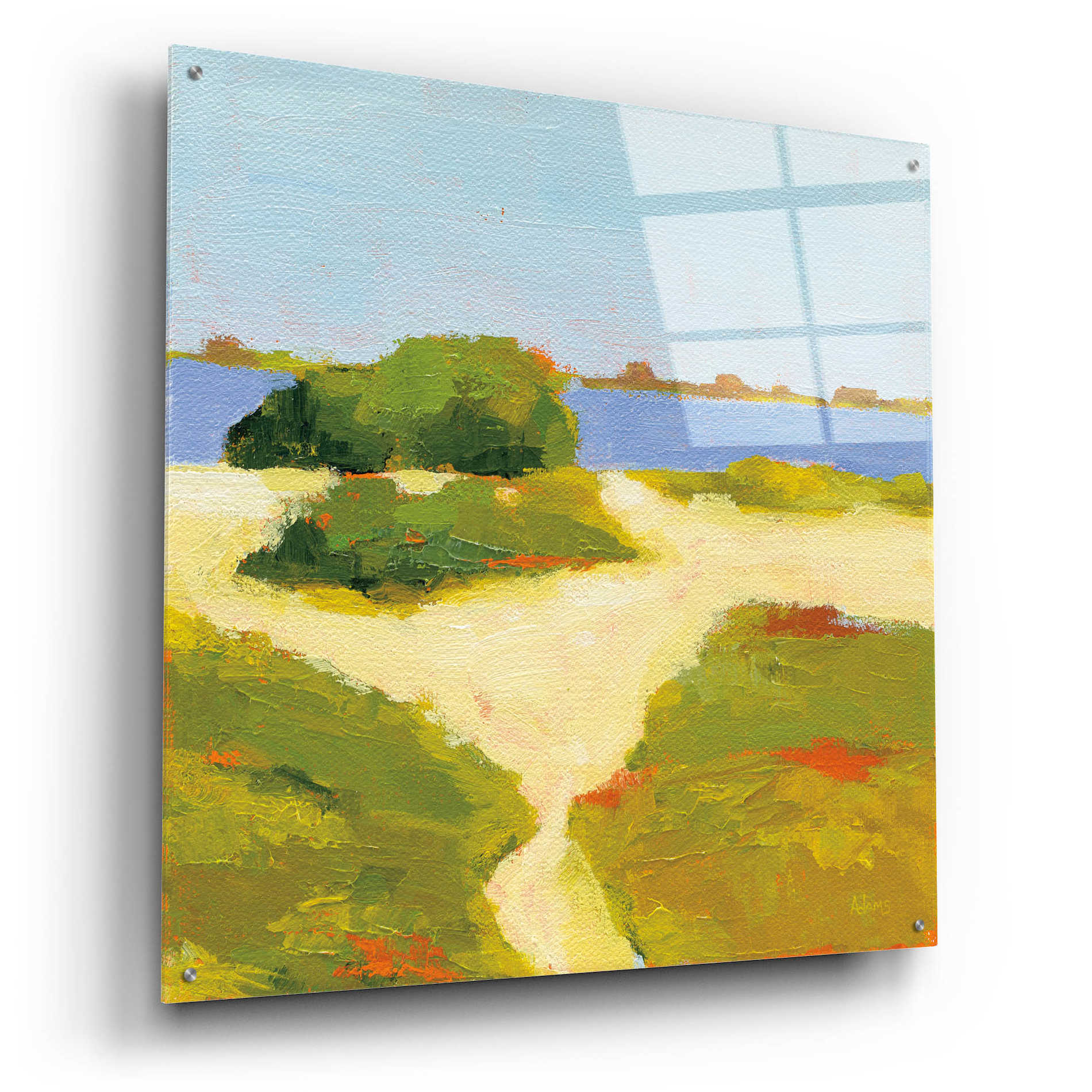 Epic Art 'Path to the Beach' by Phyllis Adams, Acrylic Glass Wall Art,36x36