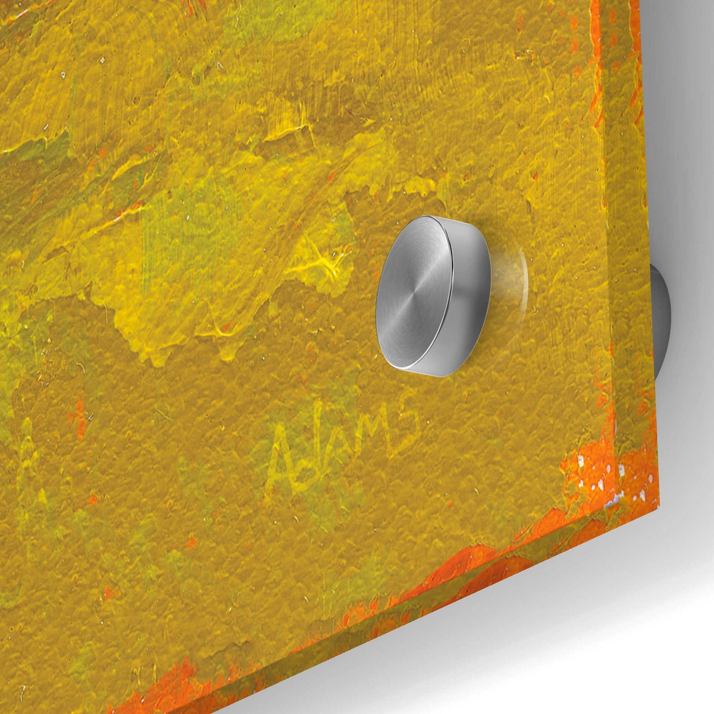 Epic Art 'Path to the Beach' by Phyllis Adams, Acrylic Glass Wall Art,36x36