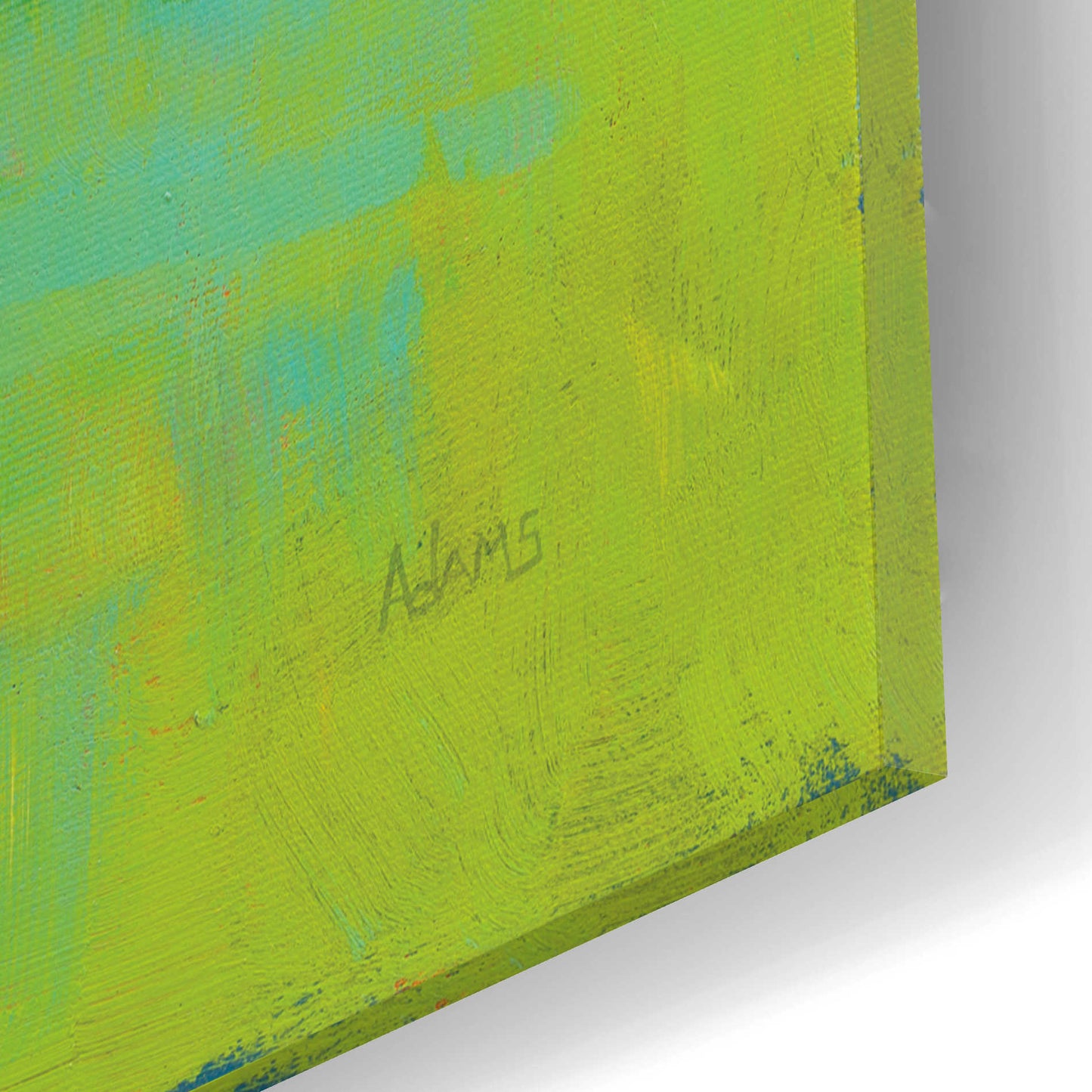Epic Art 'Sheep in the Meadow II' by Phyllis Adams, Acrylic Glass Wall Art,12x12