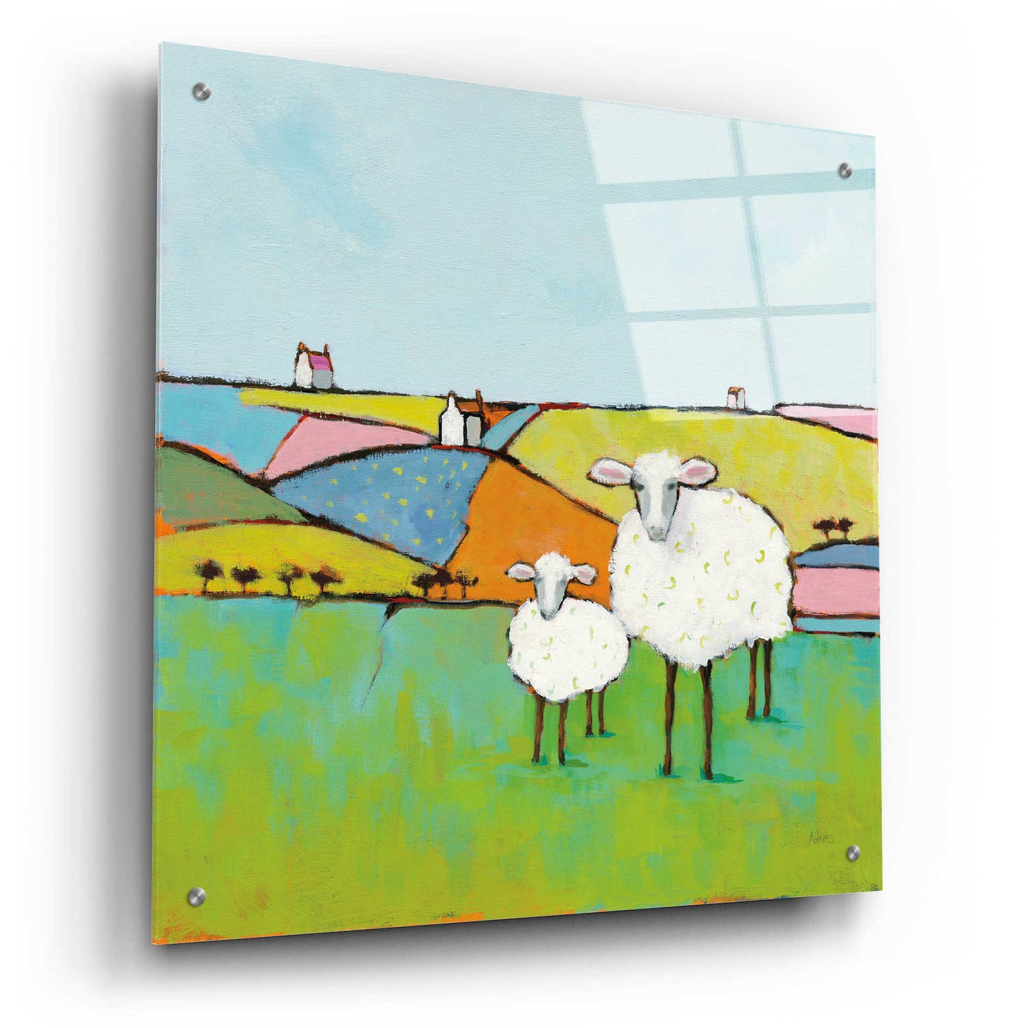Epic Art 'Sheep in the Meadow II' by Phyllis Adams, Acrylic Glass Wall Art,24x24