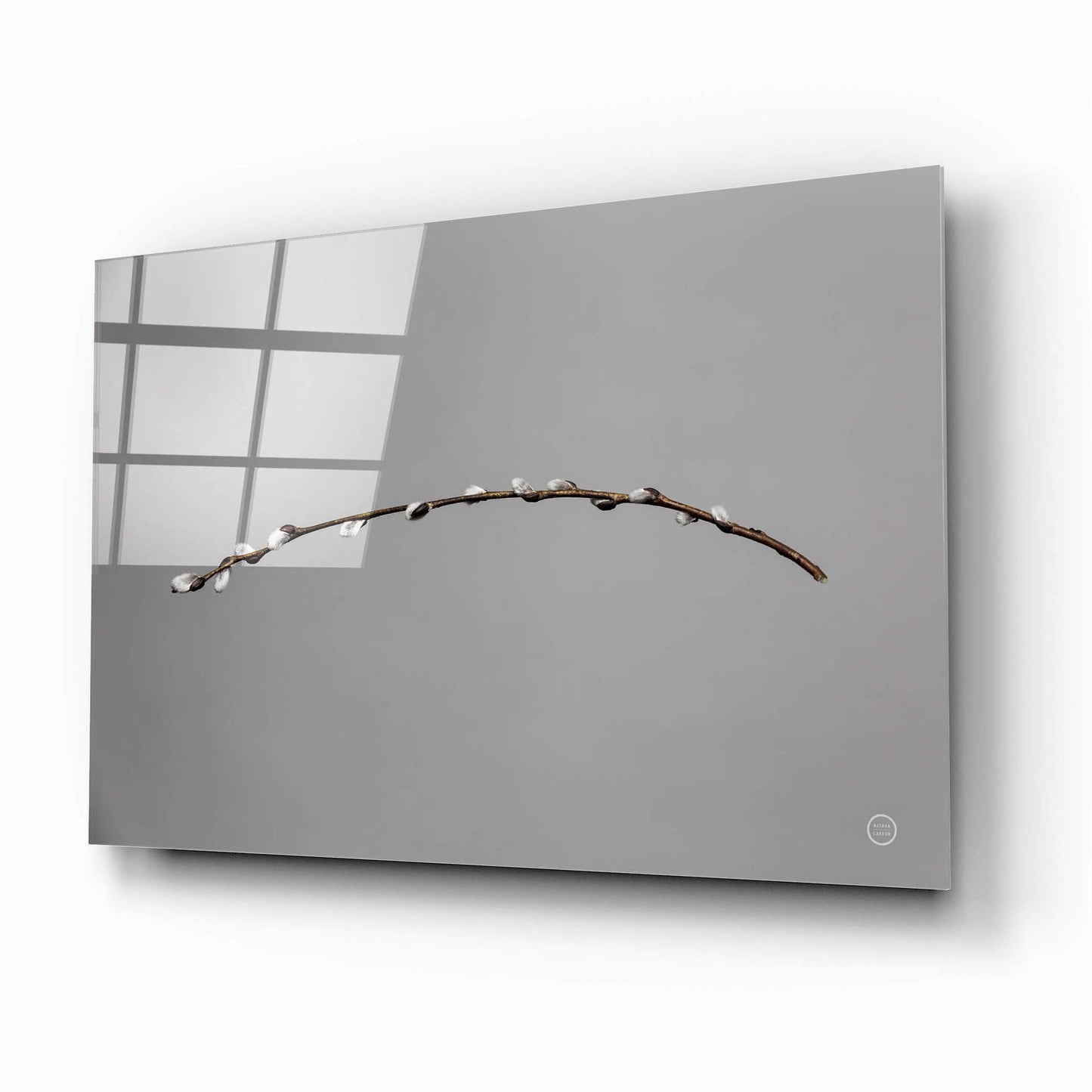 Epic Art 'Springtime in the Air' by Nathan Larson, Acrylic Glass Wall Art,16x12