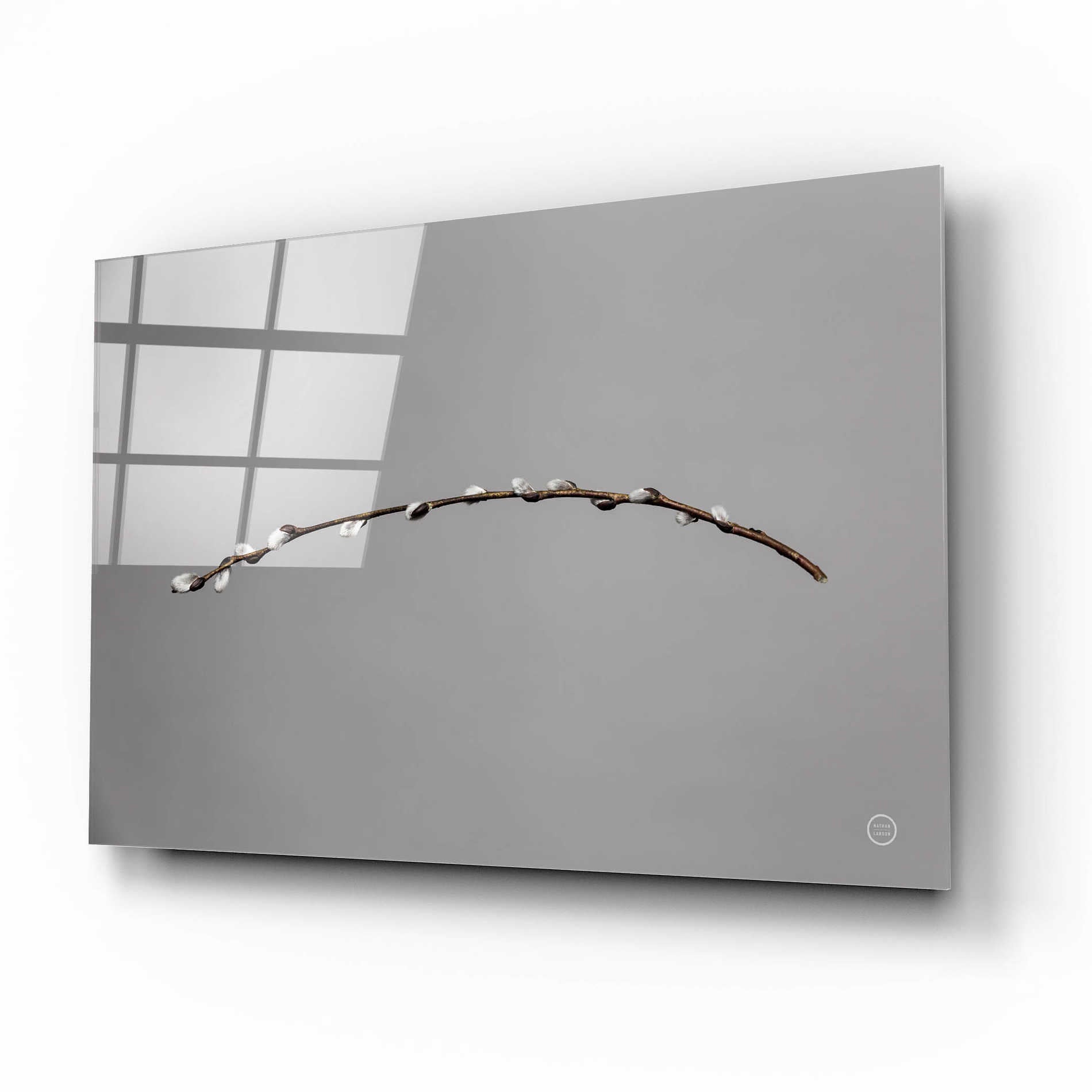 Epic Art 'Springtime in the Air' by Nathan Larson, Acrylic Glass Wall Art,16x12