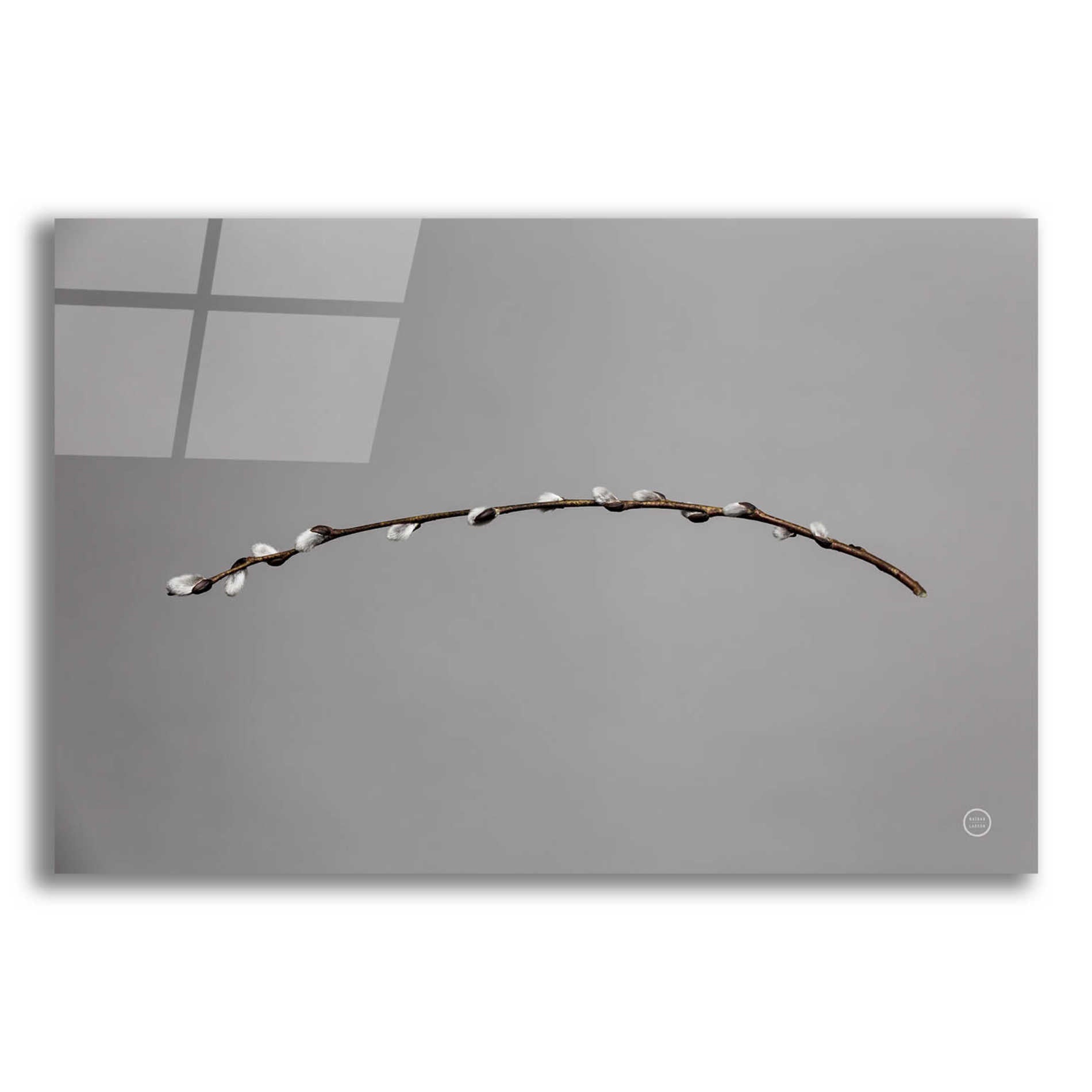 Epic Art 'Springtime in the Air' by Nathan Larson, Acrylic Glass Wall Art,16x12
