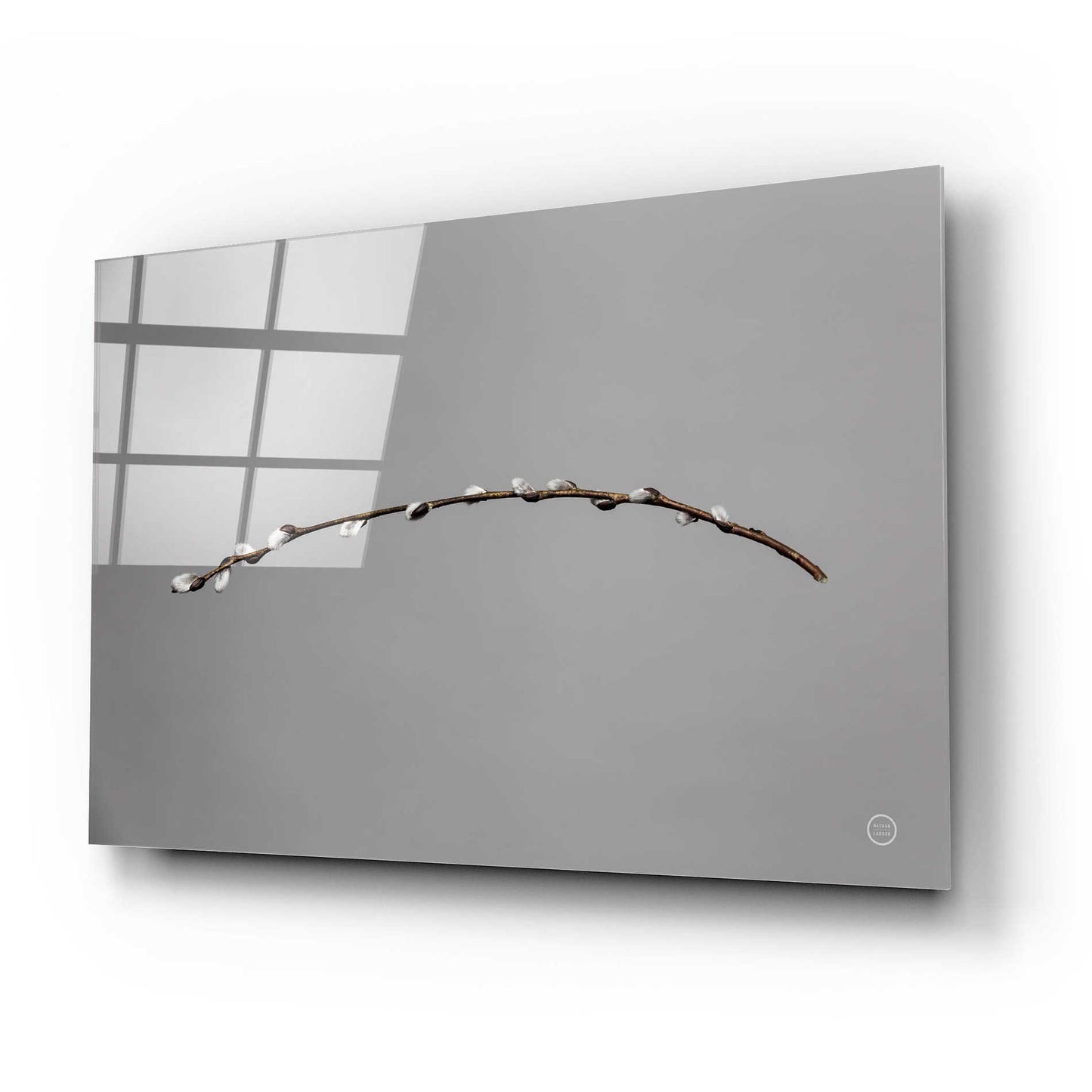 Epic Art 'Springtime in the Air' by Nathan Larson, Acrylic Glass Wall Art,24x16