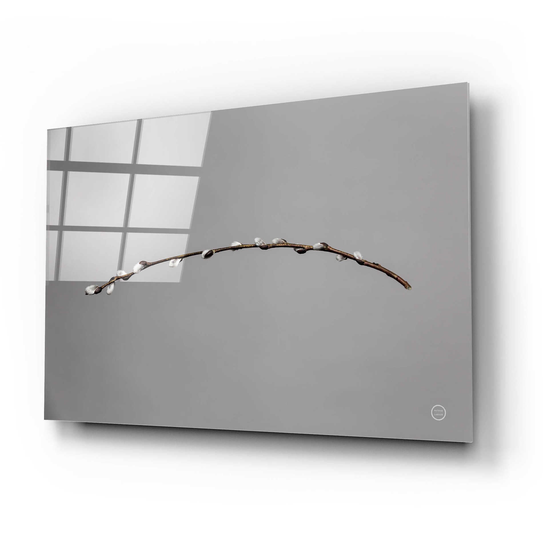 Epic Art 'Springtime in the Air' by Nathan Larson, Acrylic Glass Wall Art,24x16
