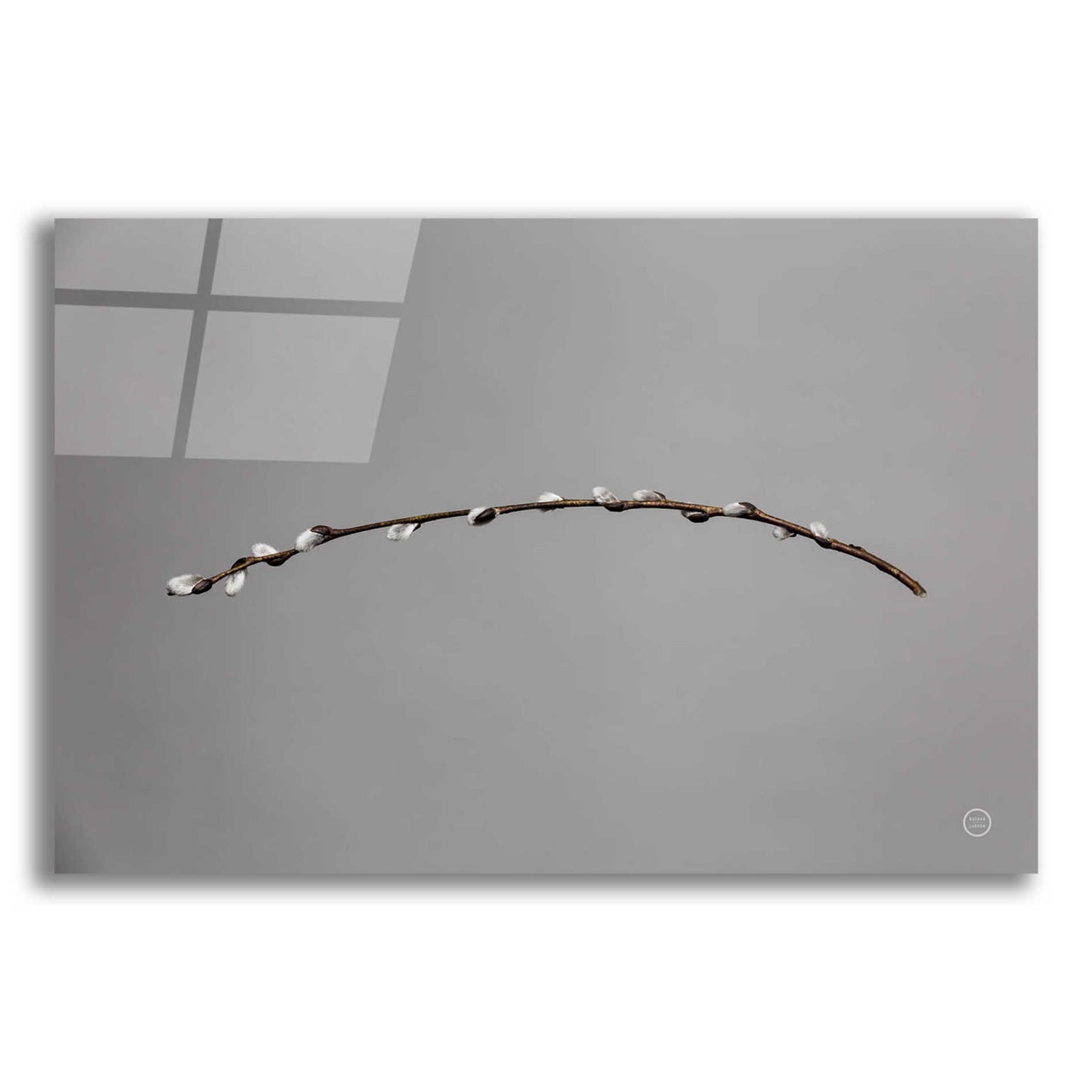 Epic Art 'Springtime in the Air' by Nathan Larson, Acrylic Glass Wall Art,24x16