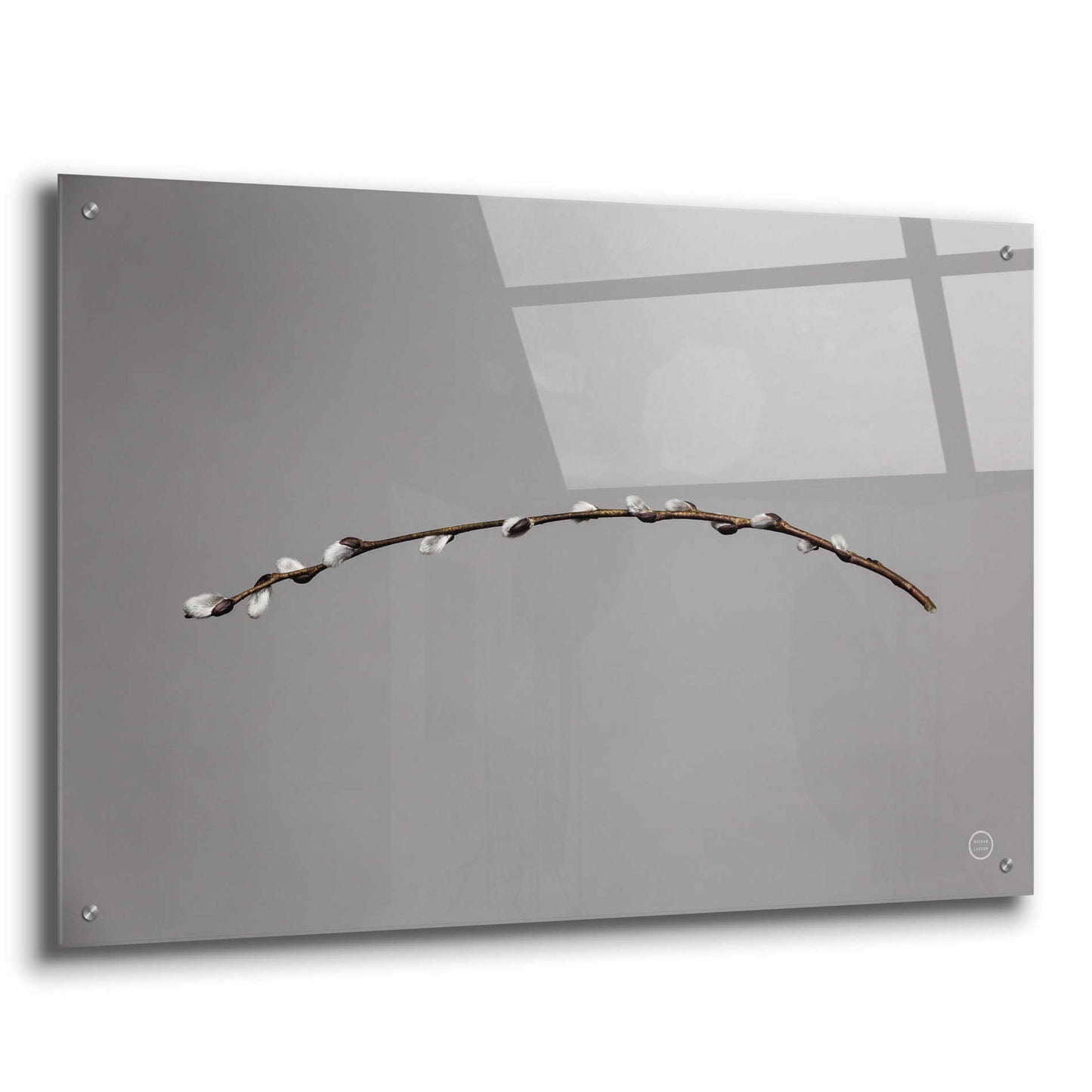 Epic Art 'Springtime in the Air' by Nathan Larson, Acrylic Glass Wall Art,36x24