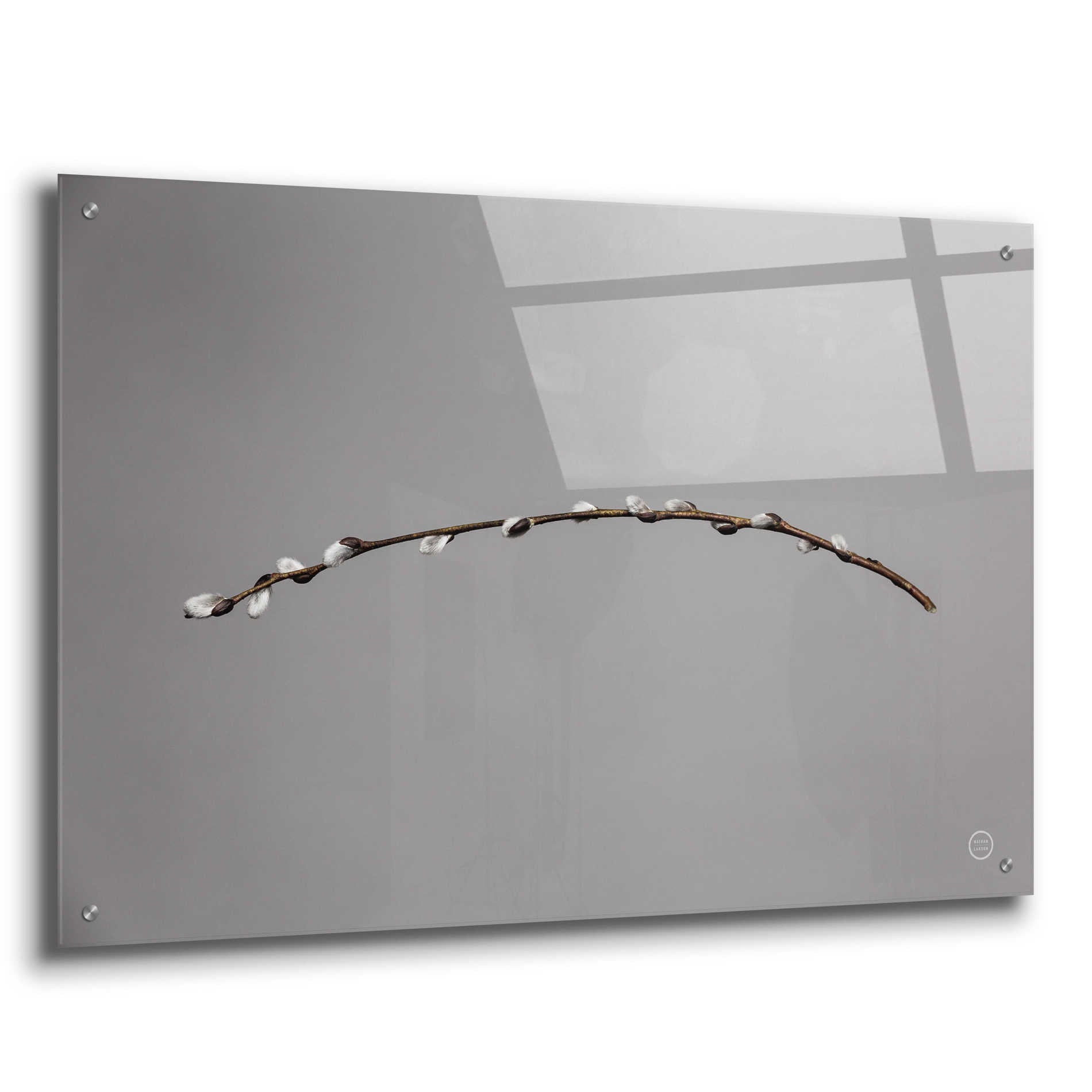 Epic Art 'Springtime in the Air' by Nathan Larson, Acrylic Glass Wall Art,36x24