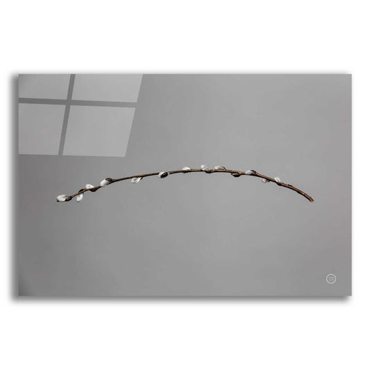 Epic Art 'Springtime in the Air' by Nathan Larson, Acrylic Glass Wall Art,18x12x1.1x0,26x18x1.1x0,40x26x1.74x0,60x40x1.74x0