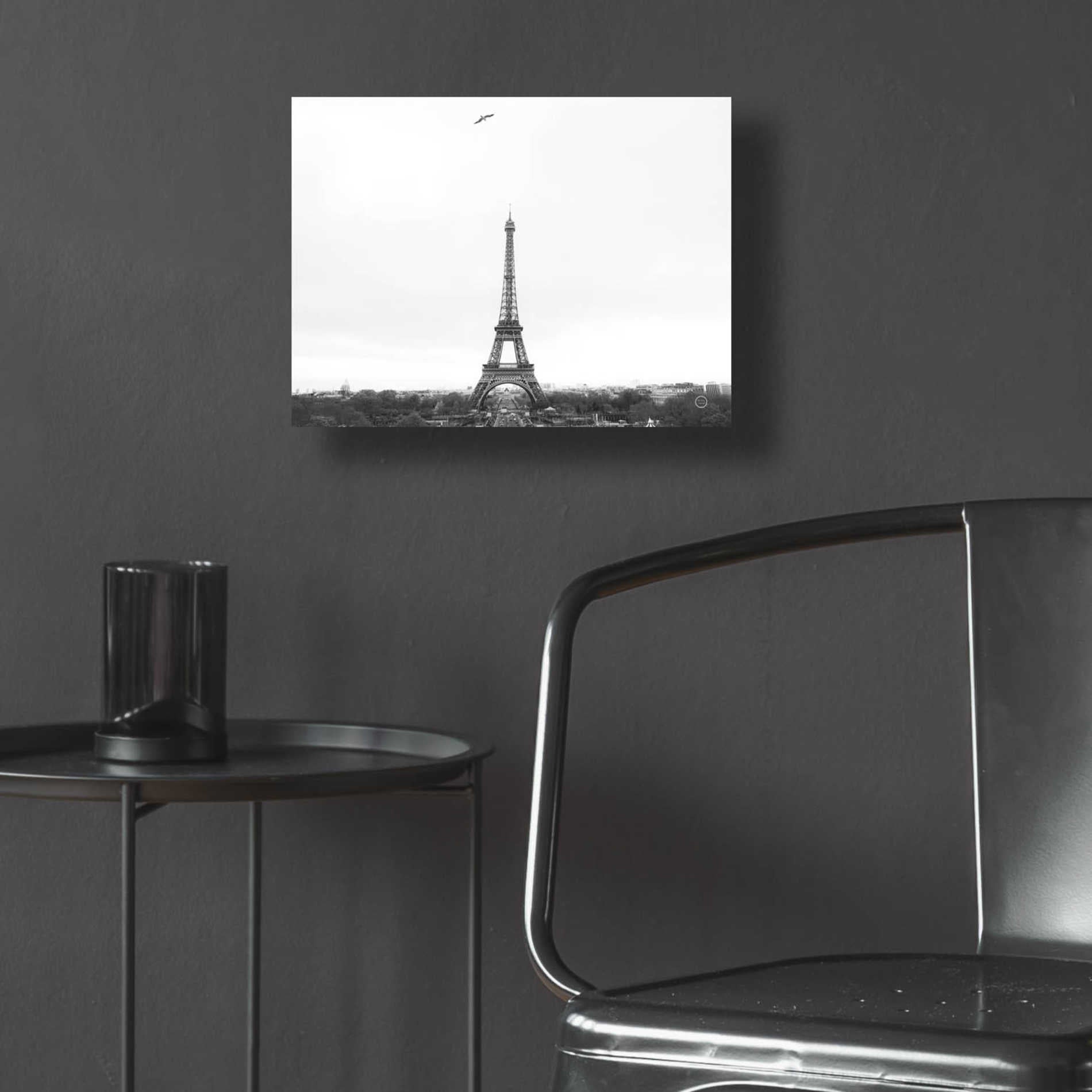 Epic Art 'A Birds View of Paris' by Nathan Larson, Acrylic Glass Wall Art,16x12