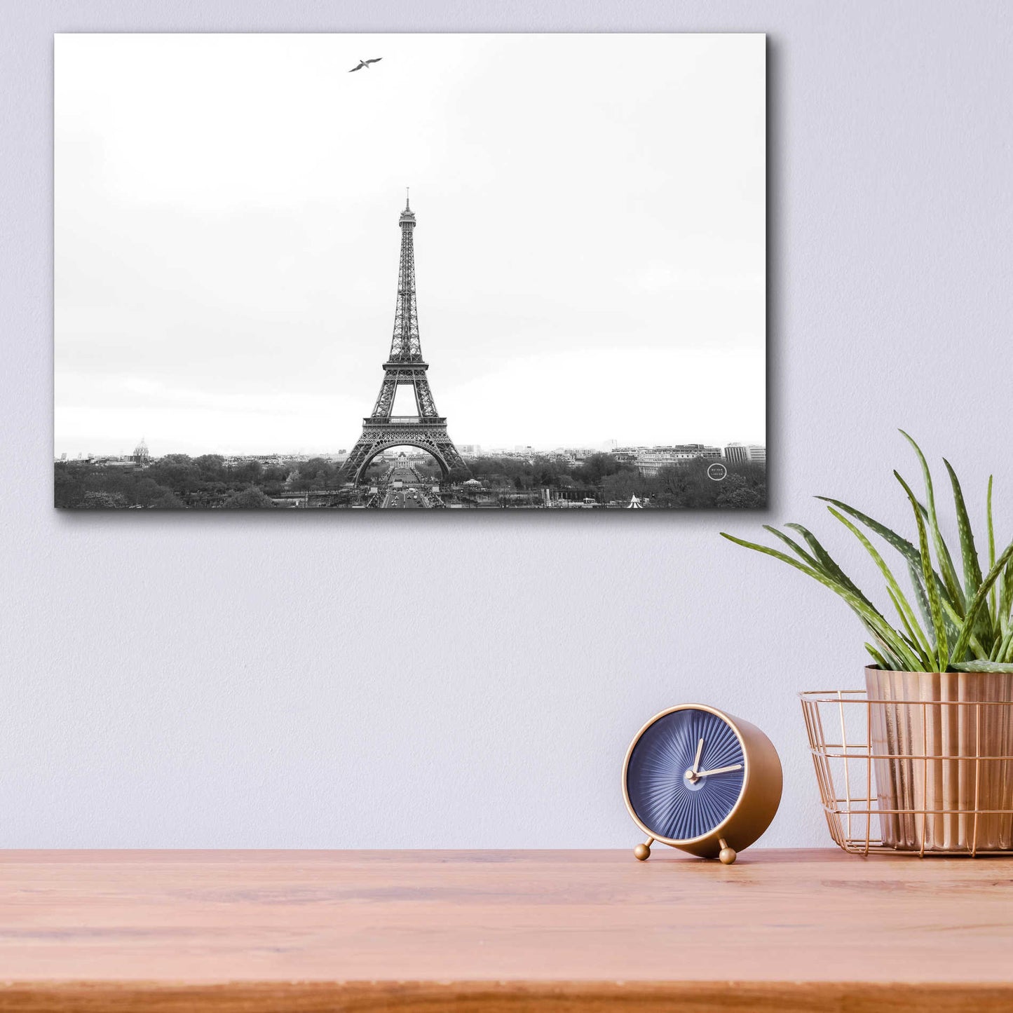 Epic Art 'A Birds View of Paris' by Nathan Larson, Acrylic Glass Wall Art,16x12