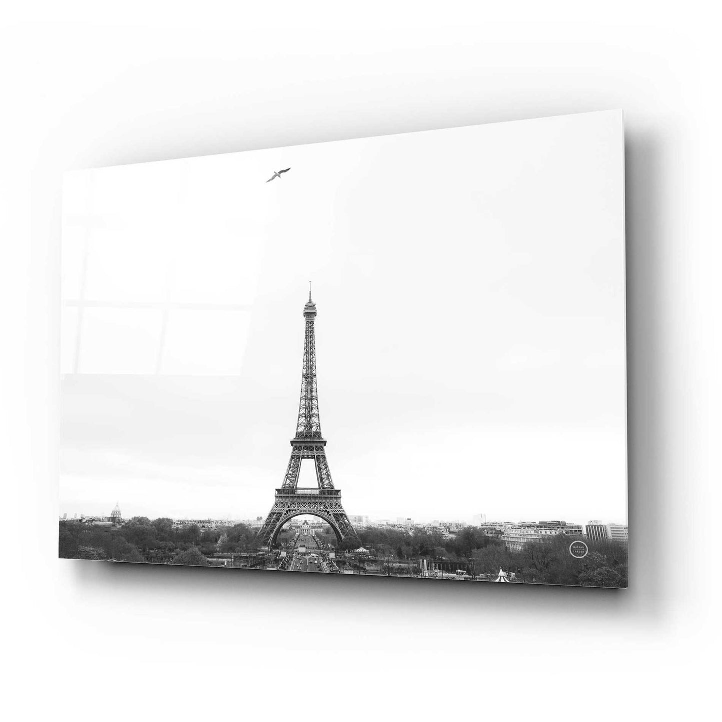 Epic Art 'A Birds View of Paris' by Nathan Larson, Acrylic Glass Wall Art,24x16