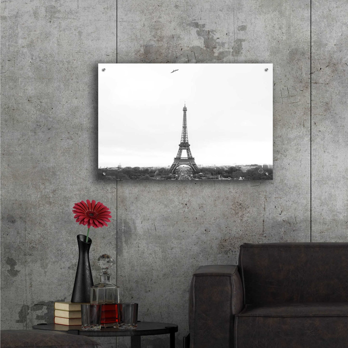 Epic Art 'A Birds View of Paris' by Nathan Larson, Acrylic Glass Wall Art,36x24