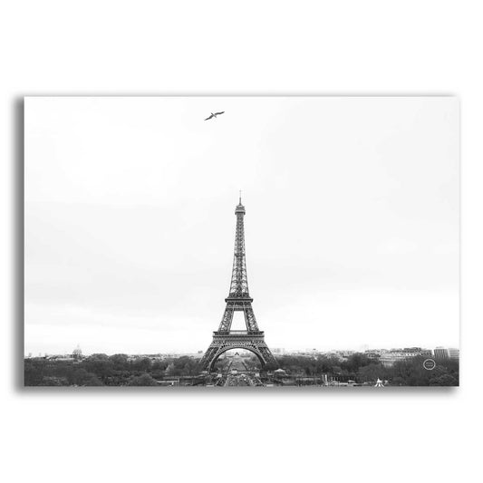 Epic Art 'A Birds View of Paris' by Nathan Larson, Acrylic Glass Wall Art,16x12x1.1x0,26x18x1.1x0,34x26x1.74x0,54x40x1.74x0