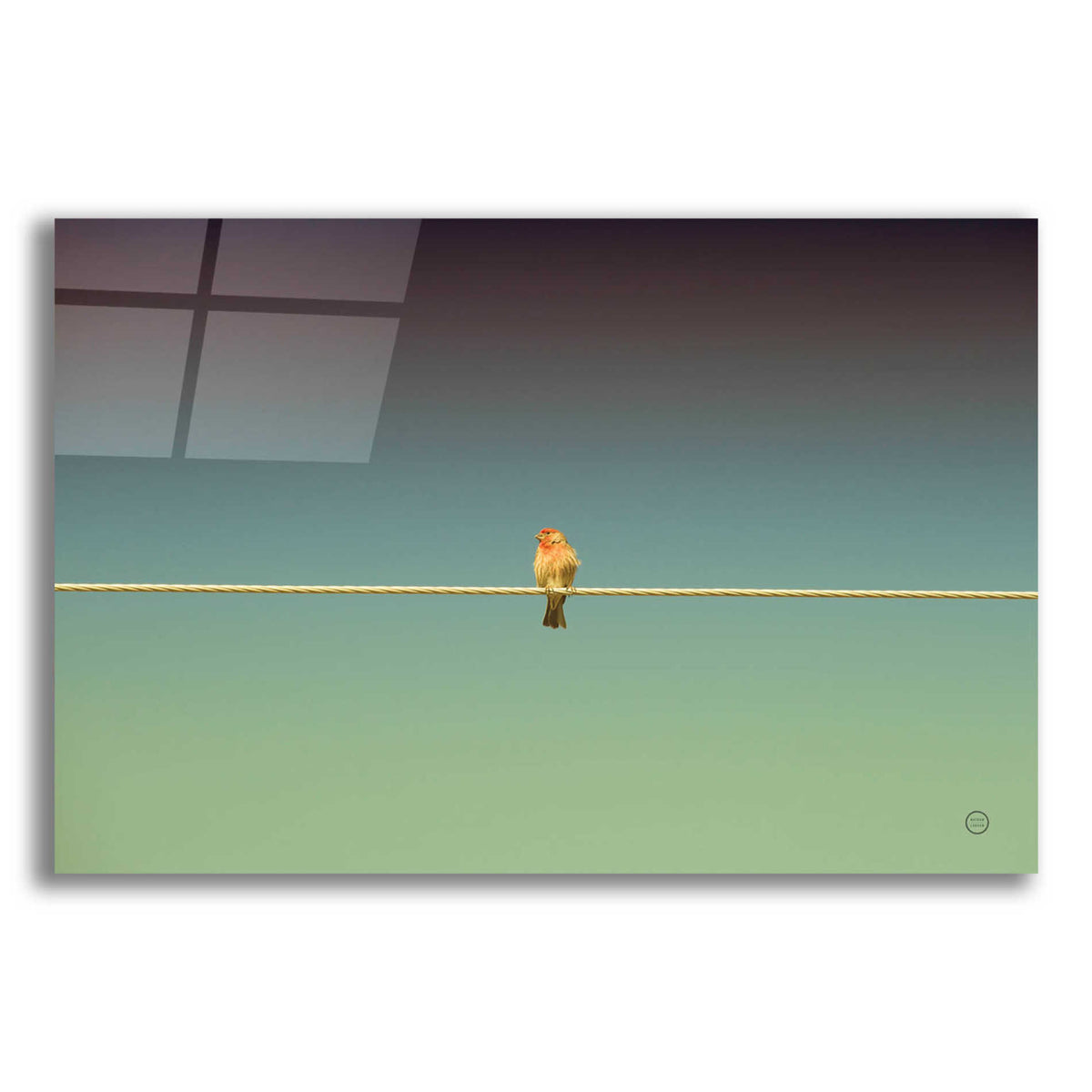 Epic Art 'Waiting' by Nathan Larson, Acrylic Glass Wall Art,18x12x1.1x0,26x18x1.1x0,40x26x1.74x0,60x40x1.74x0