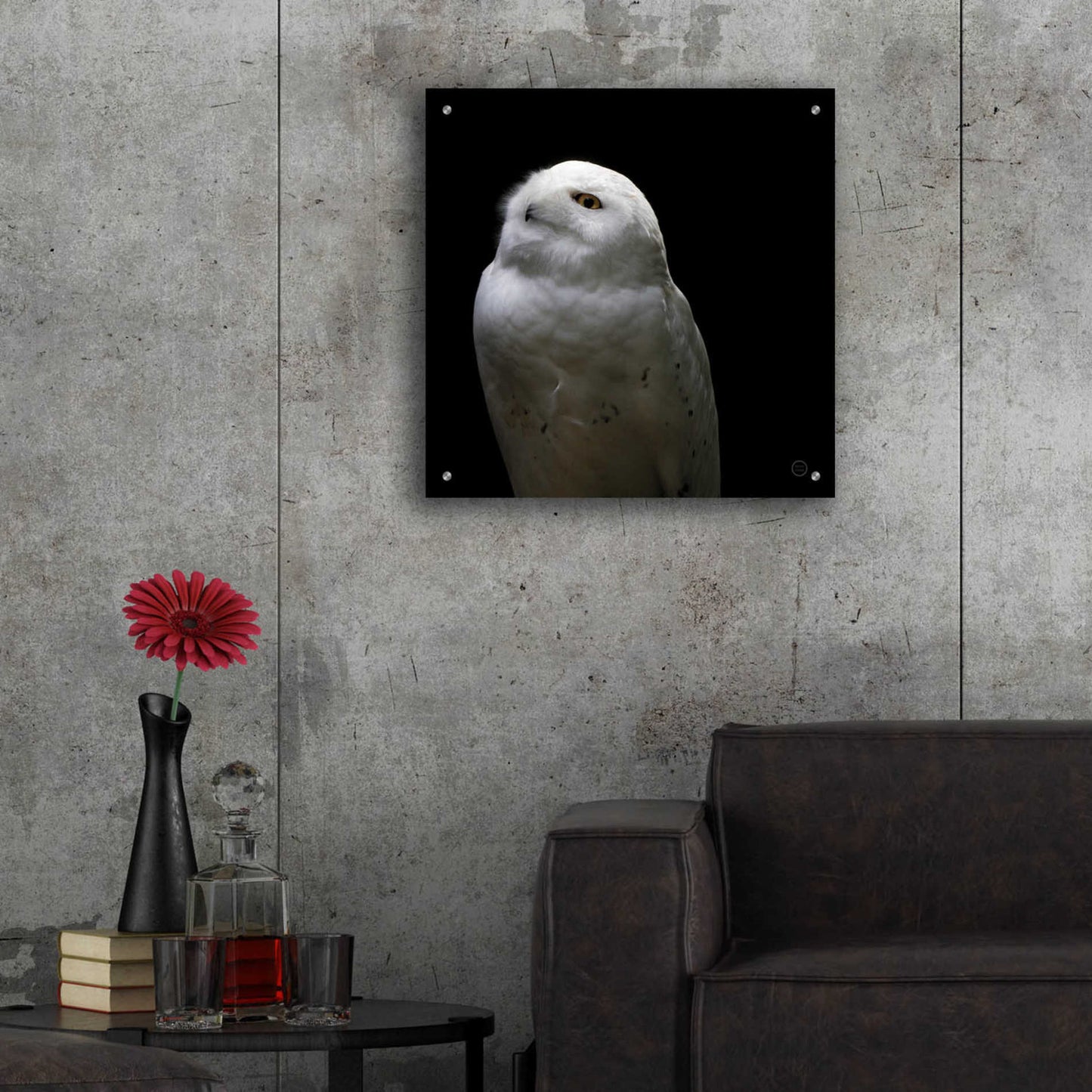 Epic Art 'Snowy Owl Looks to the Sun' by Nathan Larson, Acrylic Glass Wall Art,24x24