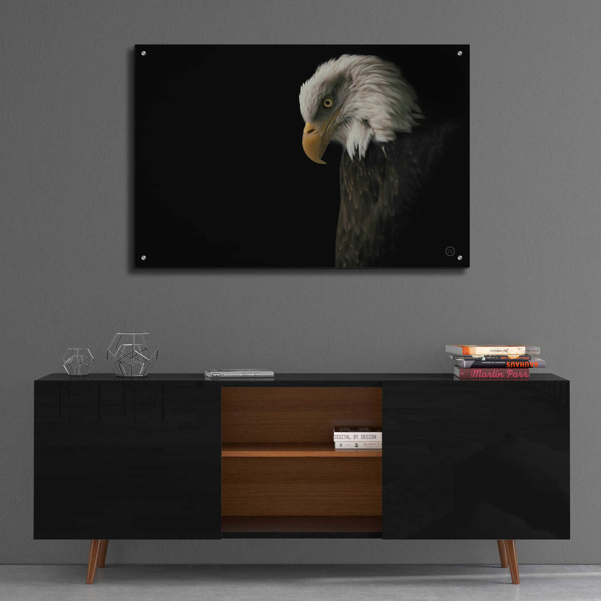 Epic Art 'Eagle Bow' by Nathan Larson, Acrylic Glass Wall Art,36x24