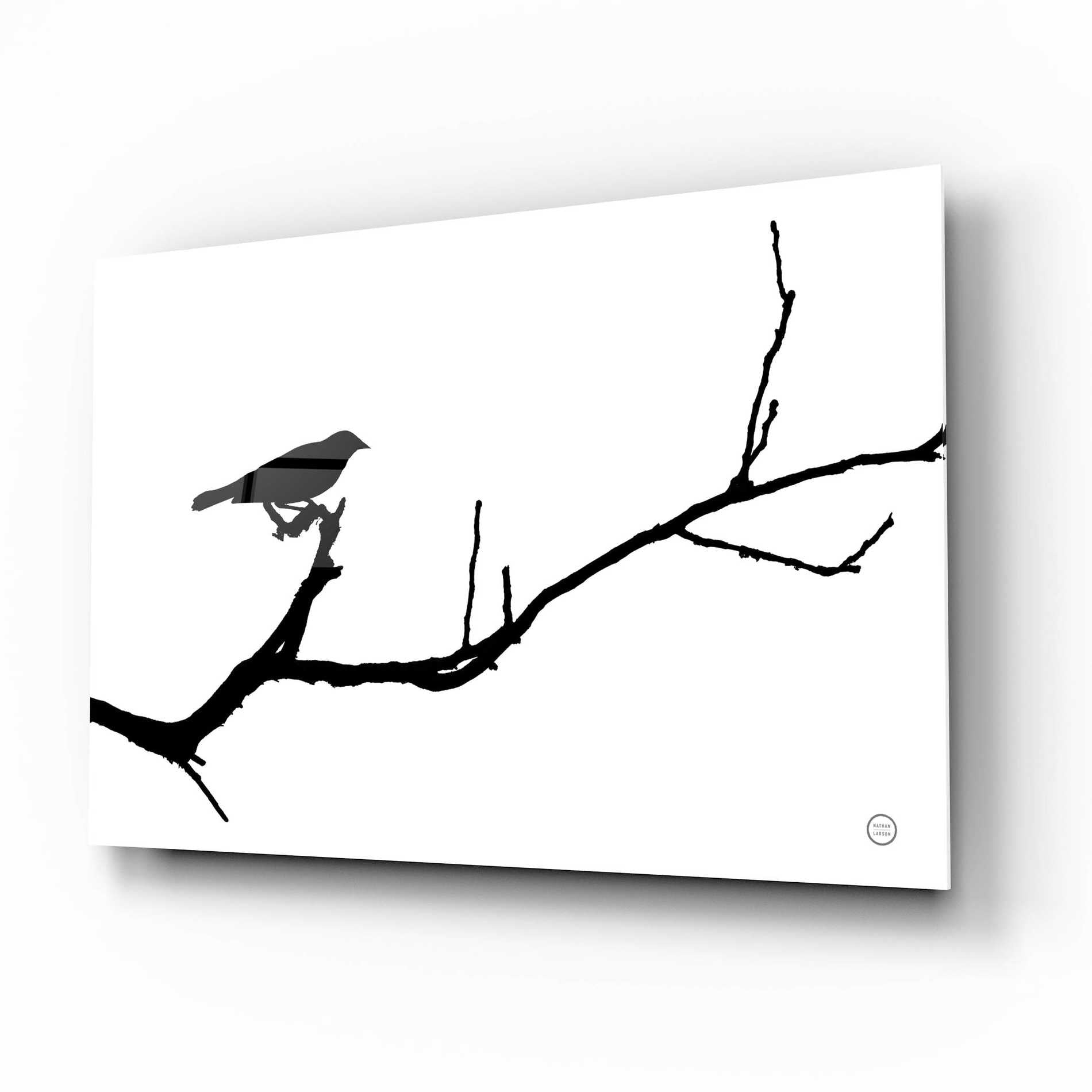 Epic Art 'Bird Silhouette' by Nathan Larson, Acrylic Glass Wall Art,16x12