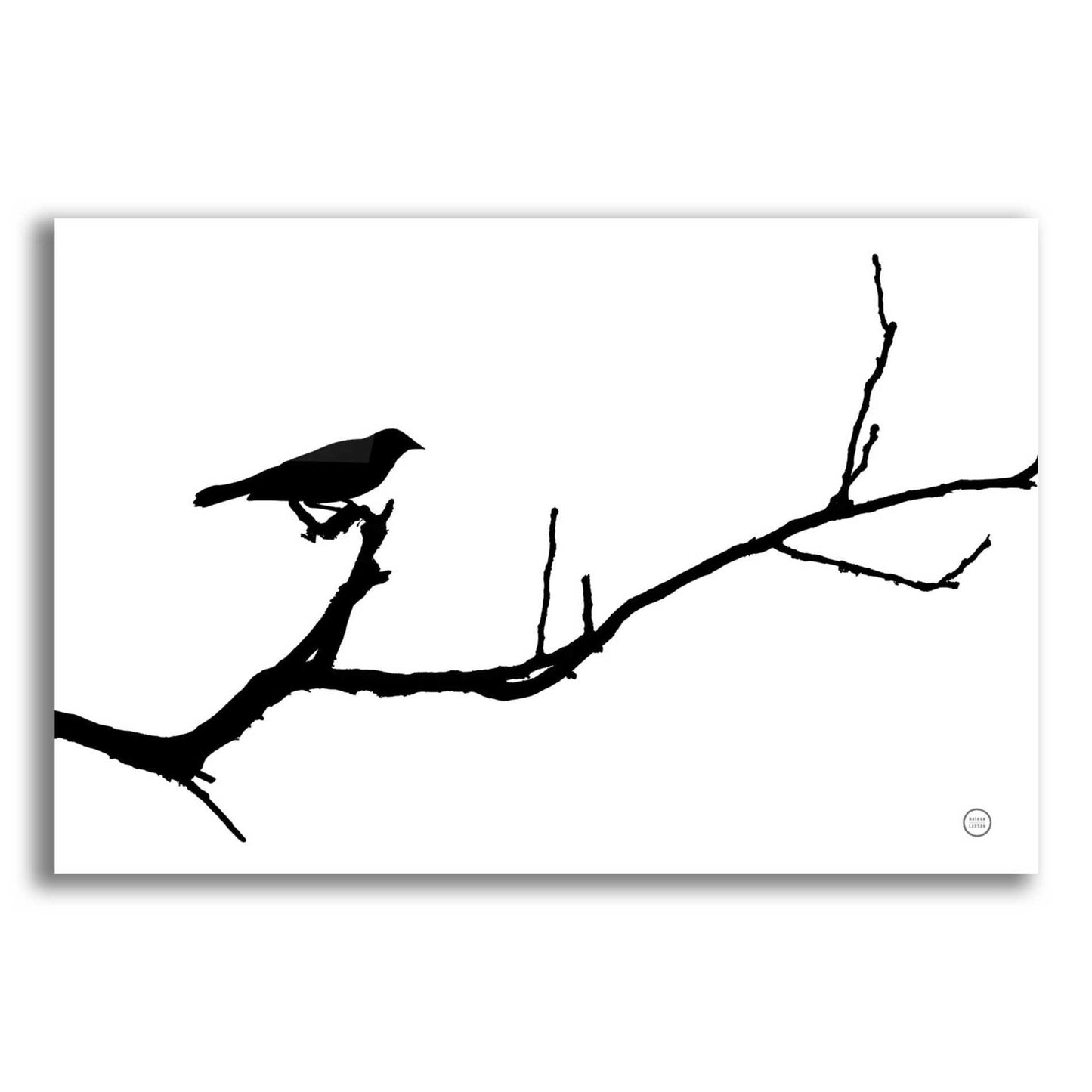 Epic Art 'Bird Silhouette' by Nathan Larson, Acrylic Glass Wall Art,16x12